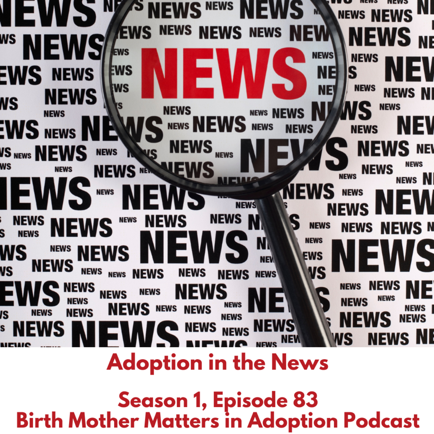 Birth Mother Matters in Adoption #83: Adoption in the News episode artwork