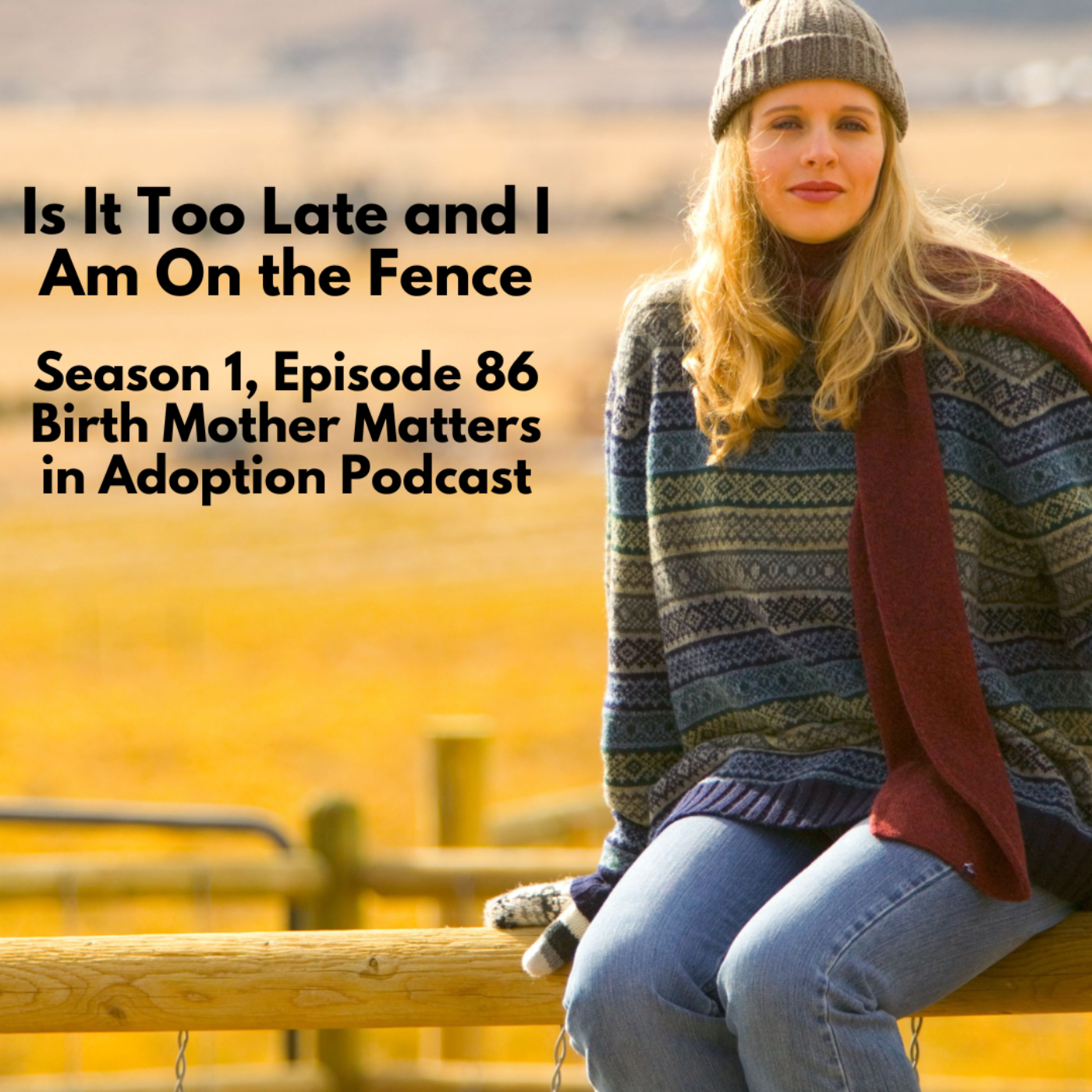 Birth Mother Matters in Adoption #86: Is It Too Late and I Am on the Fence episode artwork