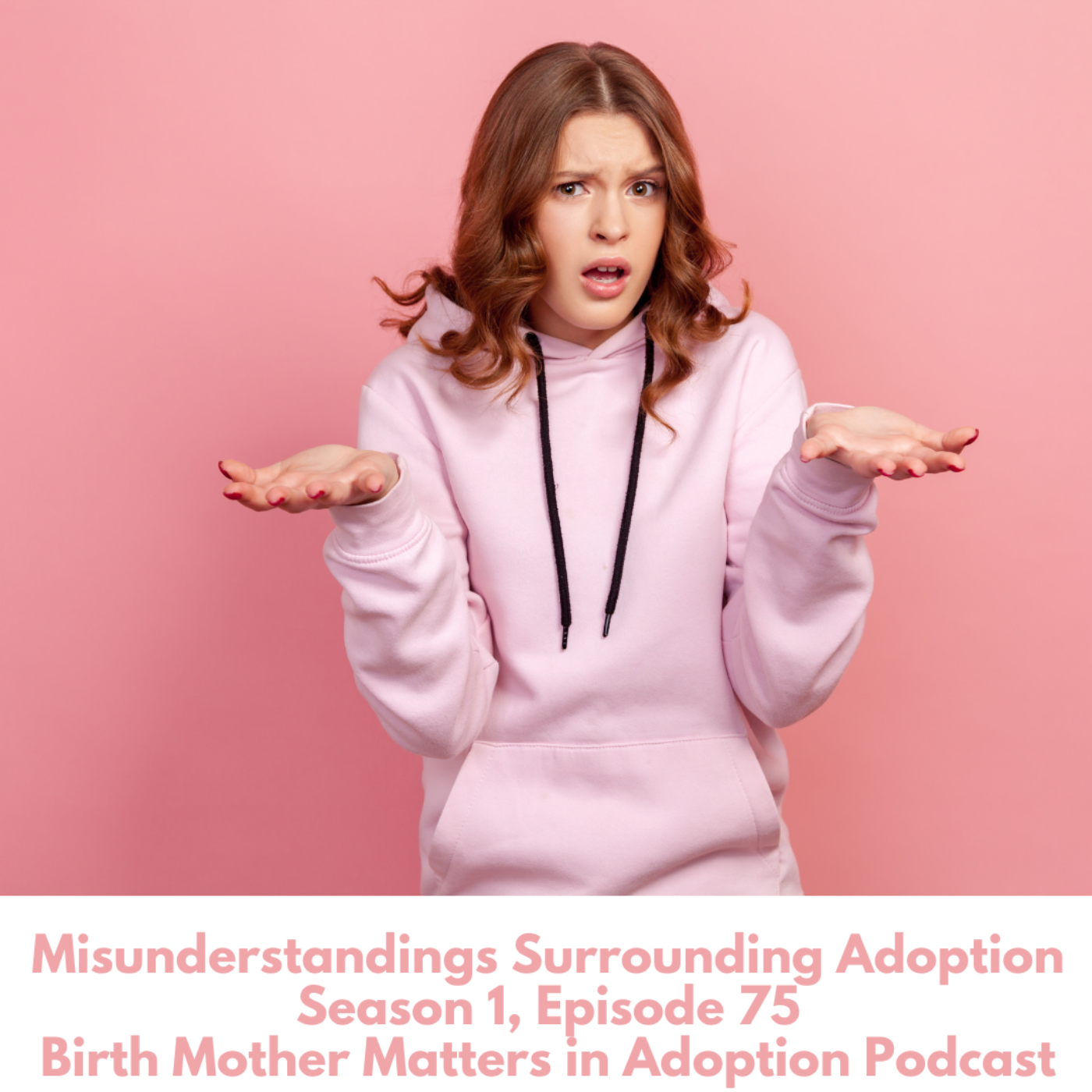 Birth Mother Matters in Adoption #75: Misunderstandings Surrounding Adoption episode artwork