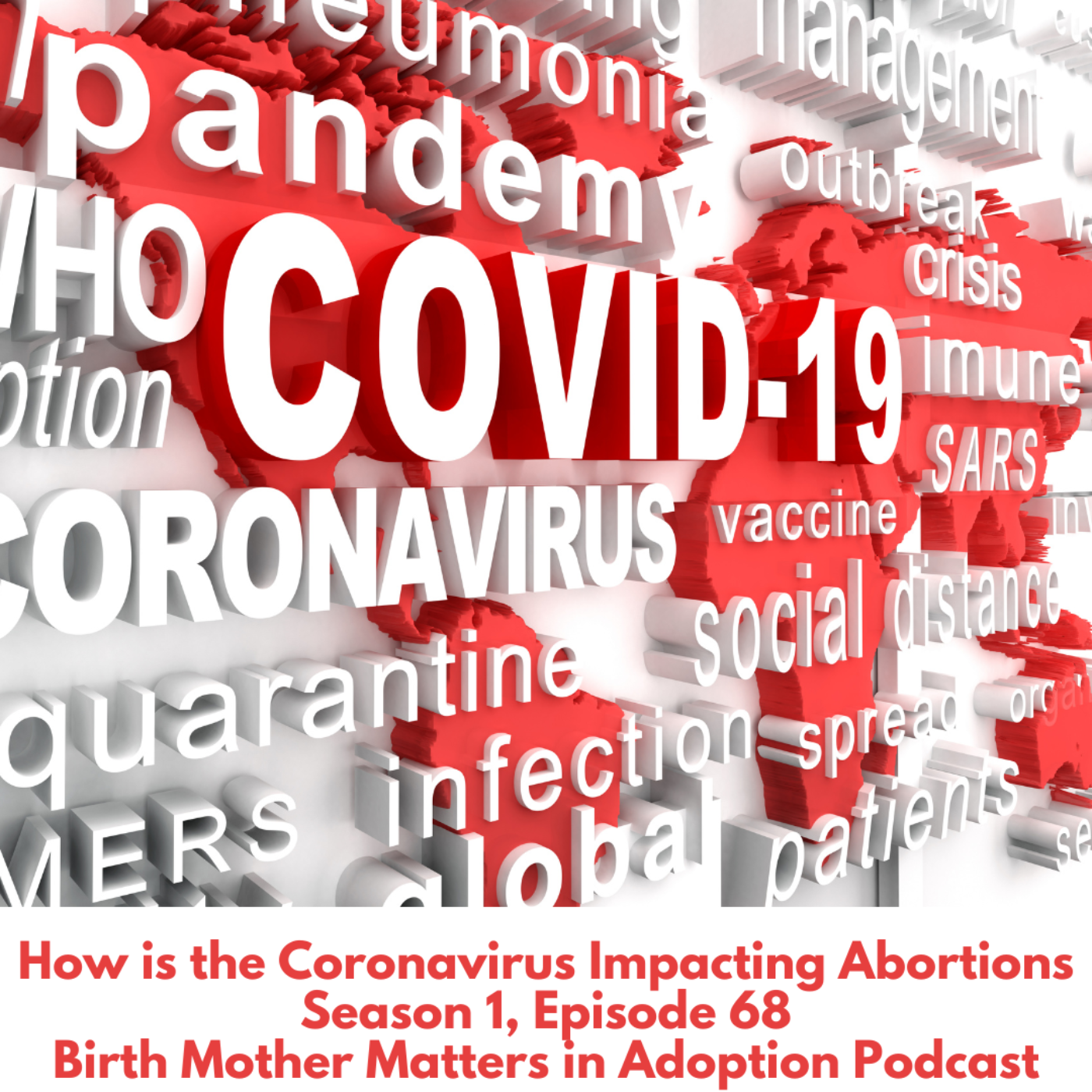 Birth Mother Matters in Adoption #68: How is the Coronavirus Impacting Abortions episode artwork