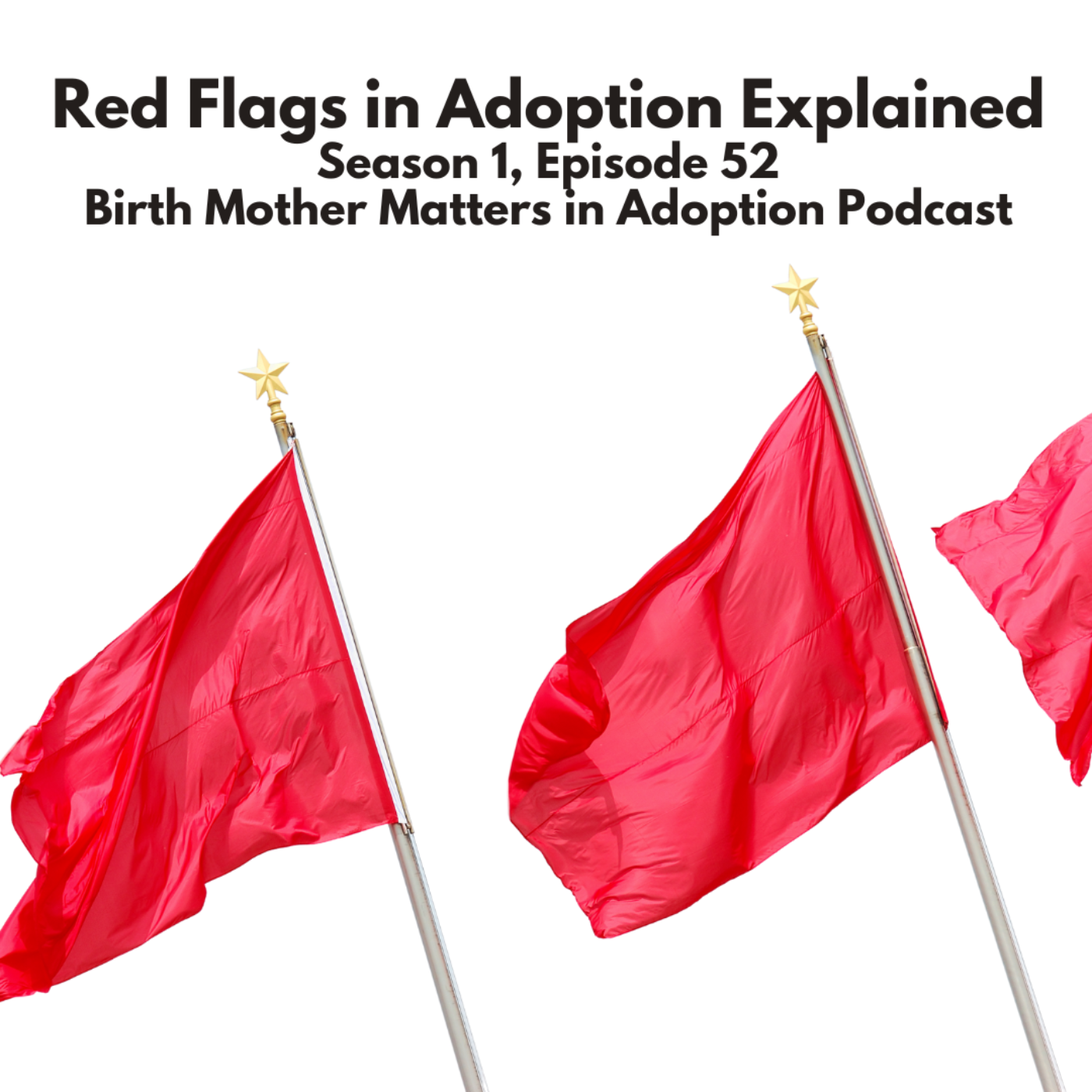 Birth Mother Matters in Adoption Episode 52: Red Flags in Adoption Explained episode artwork