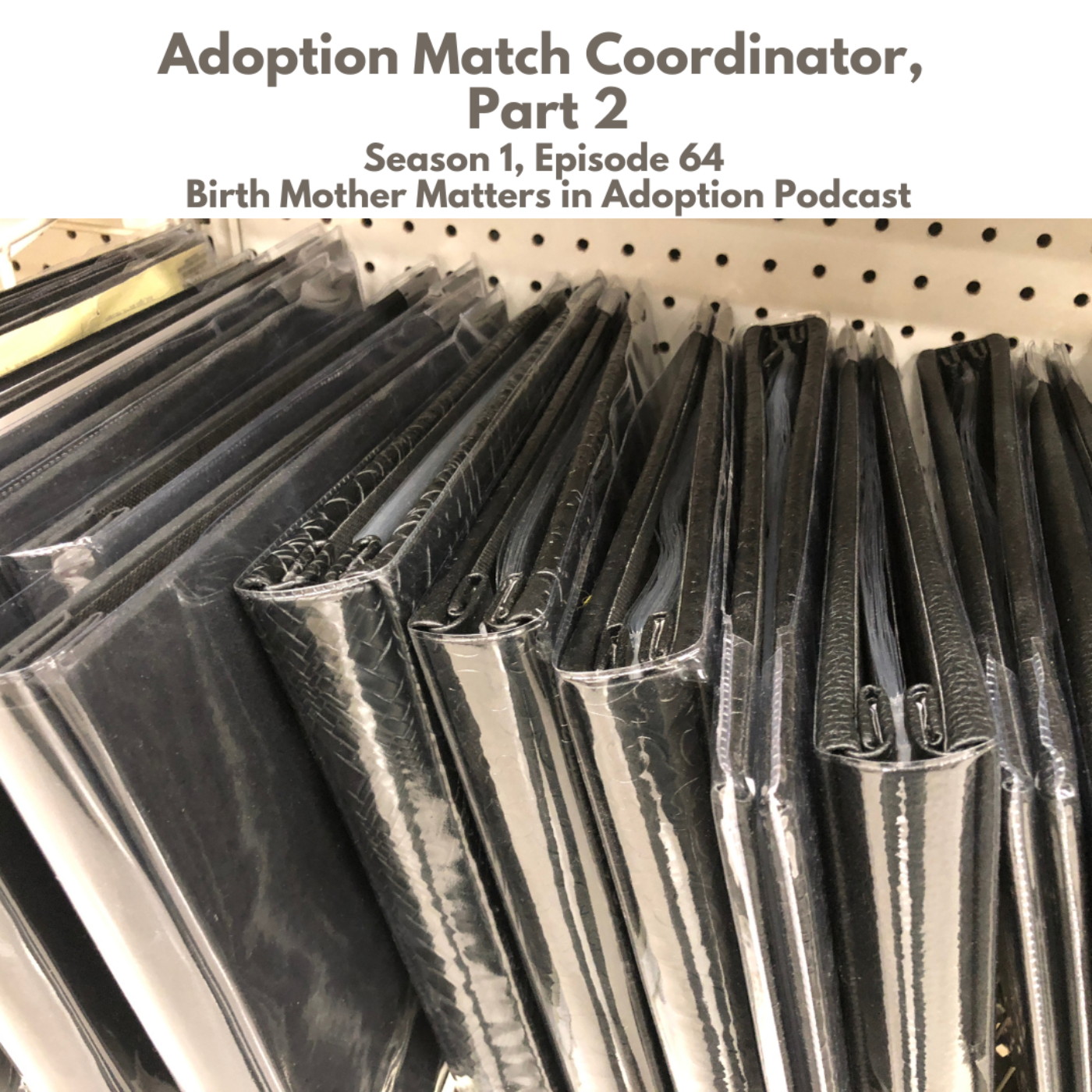 Birth Mother Matters in Adoption Episode 64: Adoption Match Coordinator Part 2 episode artwork