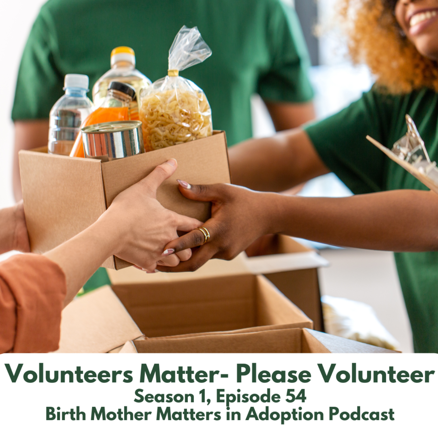 Birth Mother Matters in Adoption Episode 54: Volunteers Matter- Please Volunteer episode artwork