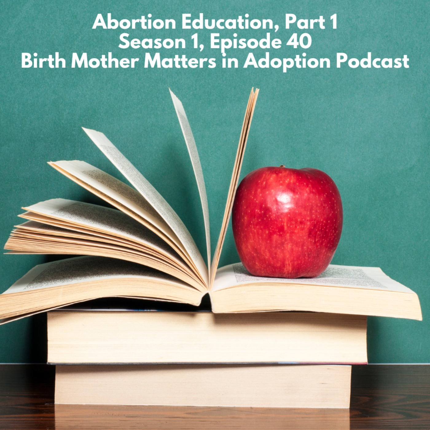 Birth Mother Matters in Adoption Episode 40: Abortion Education Part 1 episode artwork