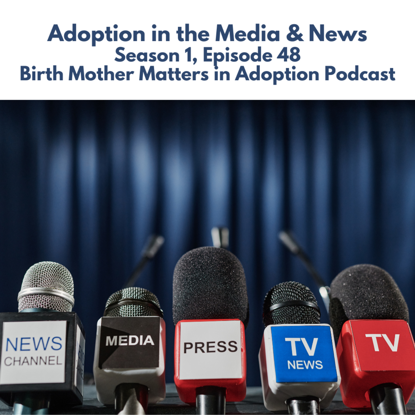 Birth Mother Matters in Adoption #48: Adoption in the Media & News episode artwork