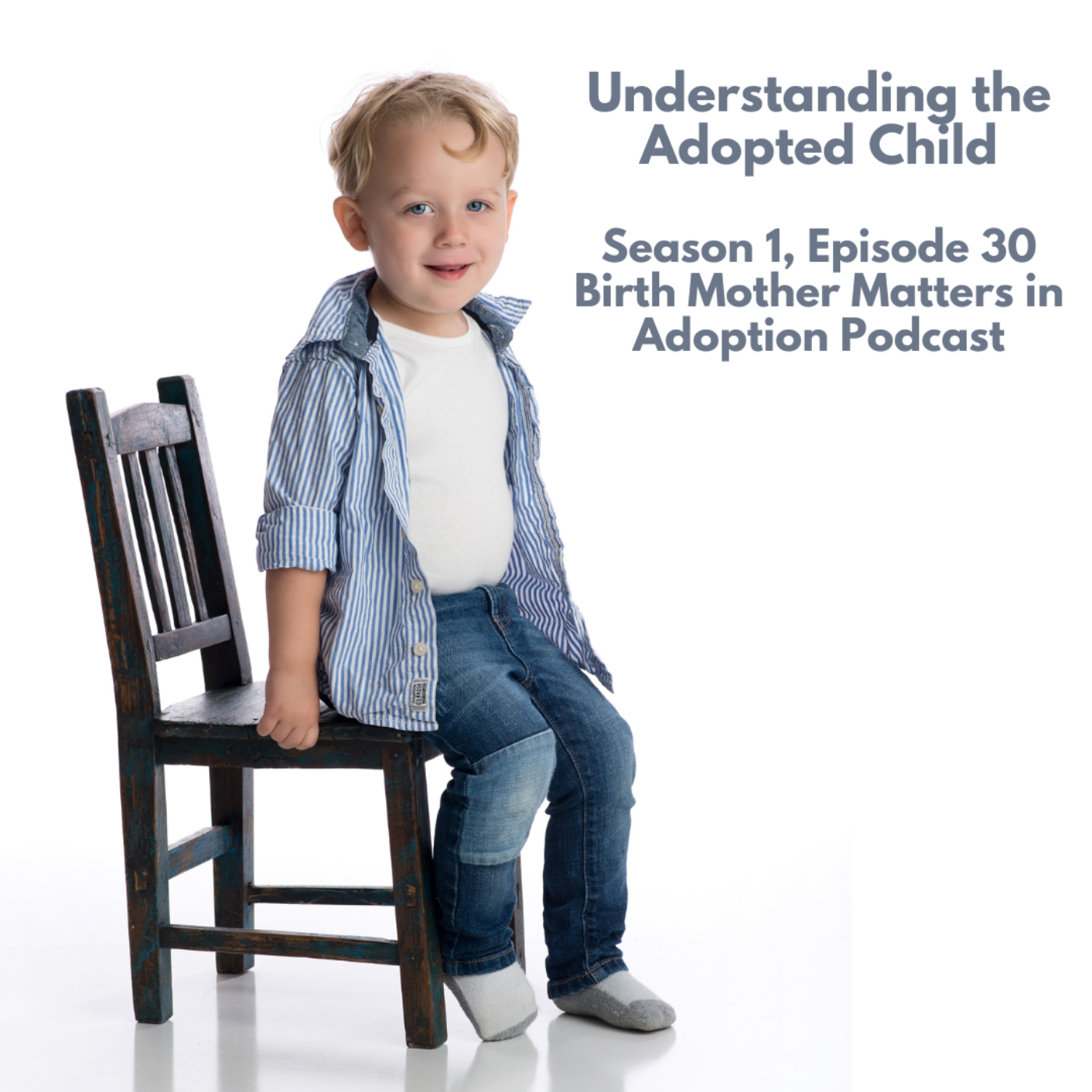 Birth Mother Matters in Adoption Episode 30: Understanding the Adopted Child episode artwork
