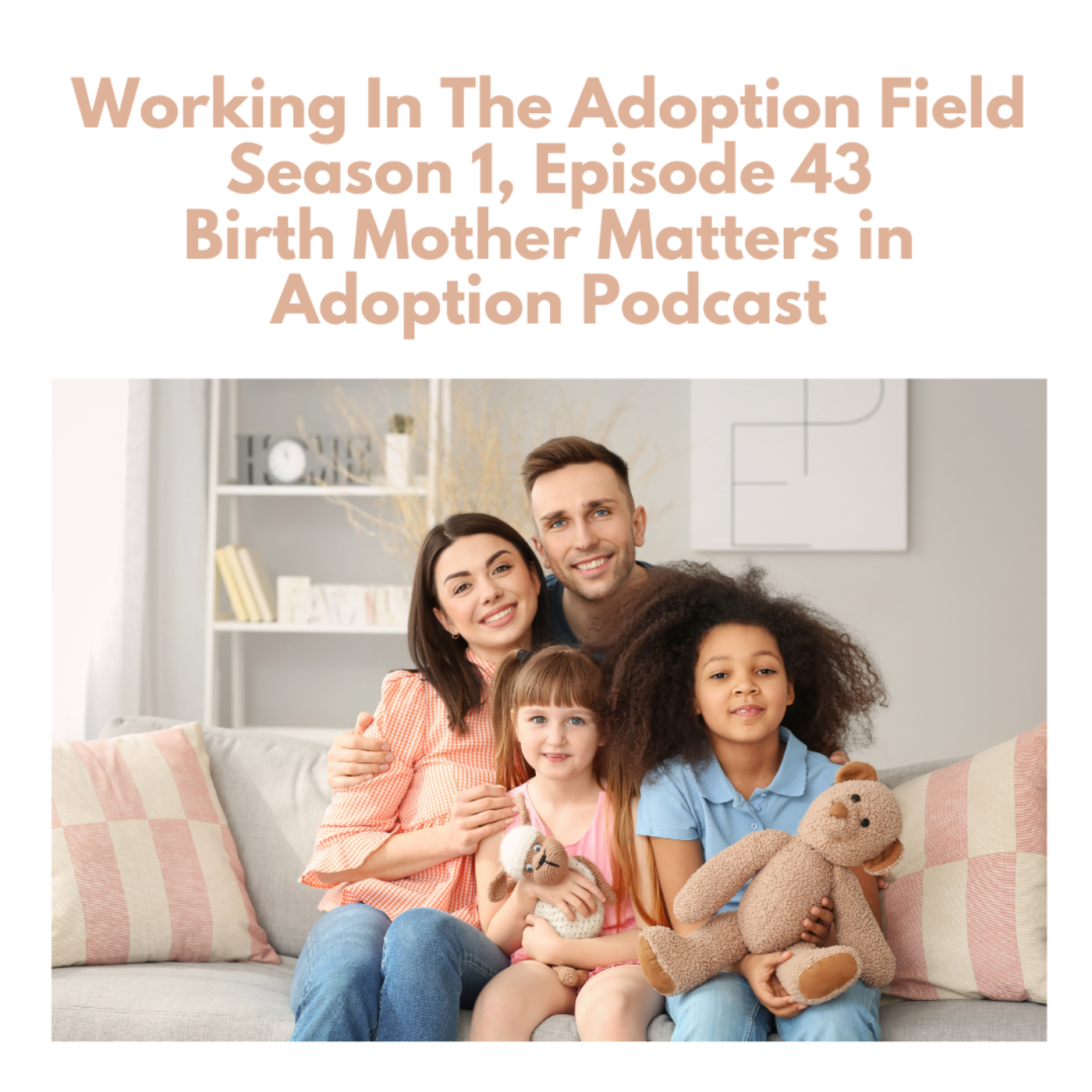 Birth Mother Matters in Adoption Episode 43: Working in the Adoption Field episode artwork