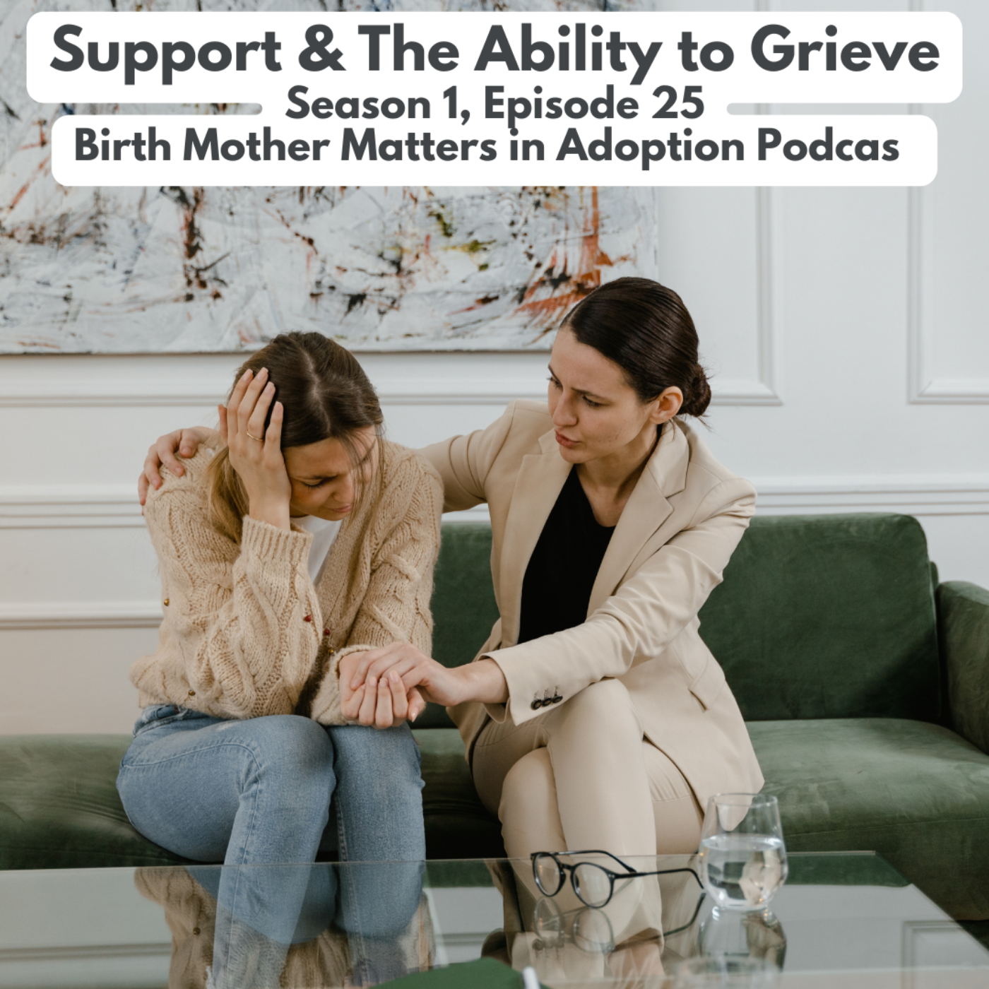 Birth Mother Matters in Adoption Episode 25:  Support & The Ability to Grieve episode artwork