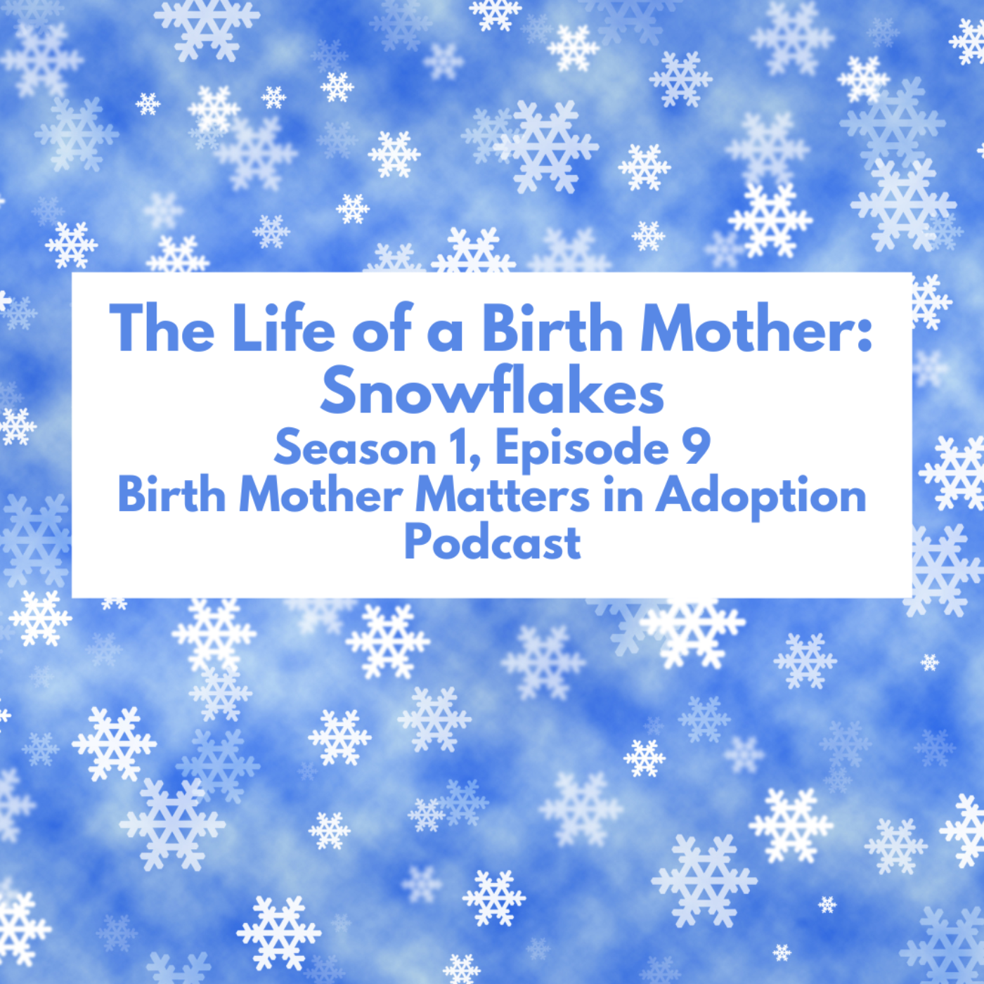 Birth Mother Matters in Adoption 9: The Life of a Birth Mother: Snowflakes episode artwork