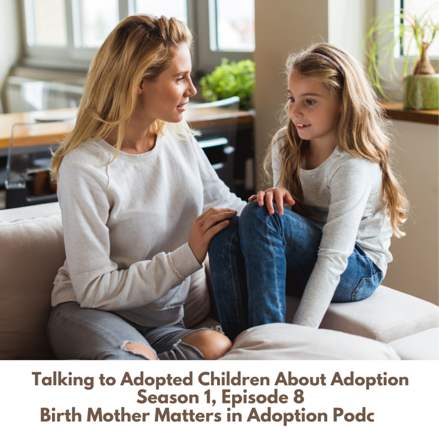 Birth Mother Matters in Adoption  Ep8:Talking to Adopted Children About Adoption episode artwork