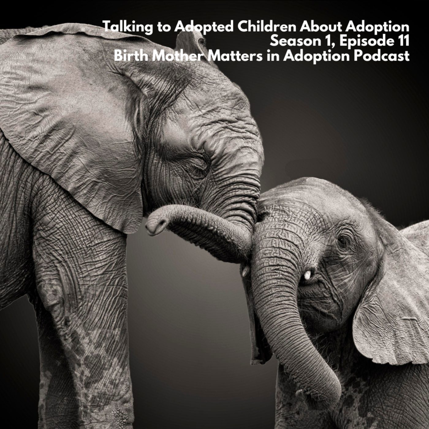 Birth Mother Matters in Adoption 11: Addressing the Elephants in the Room episode artwork
