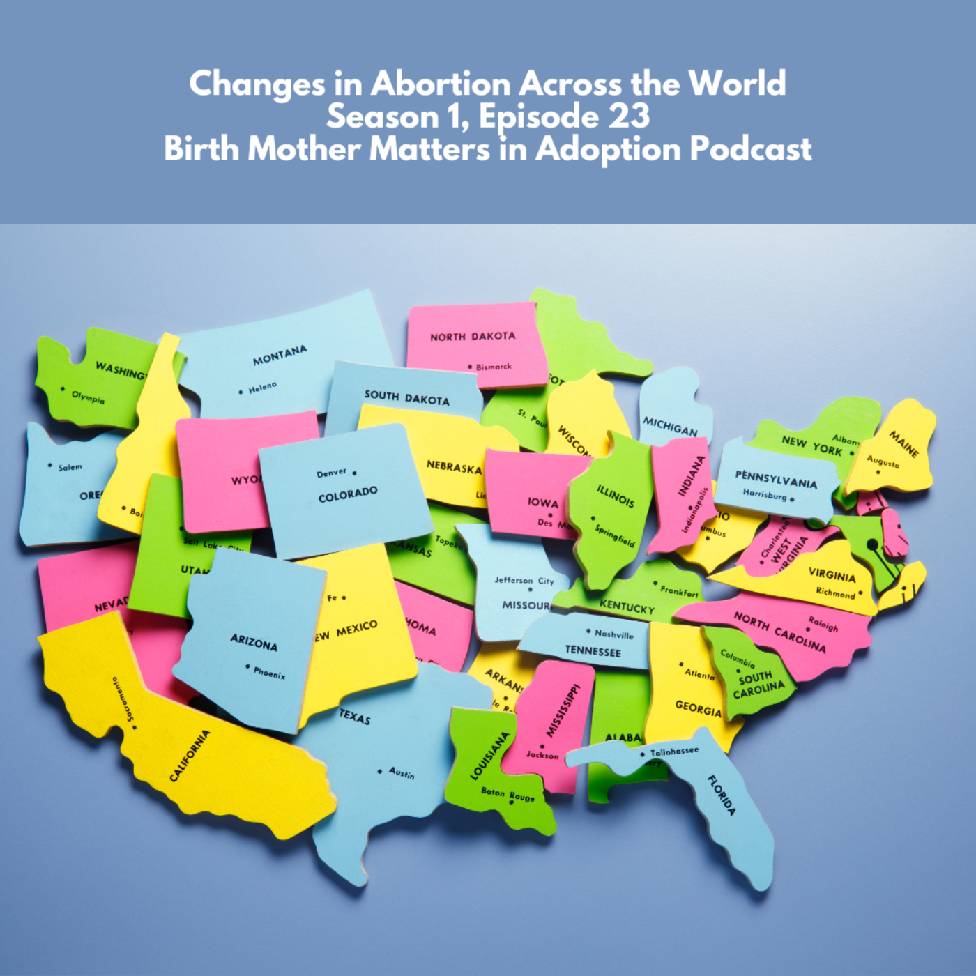 Birth Mother Matters in Adoption 23: Changes in Abortion Across the United episode artwork