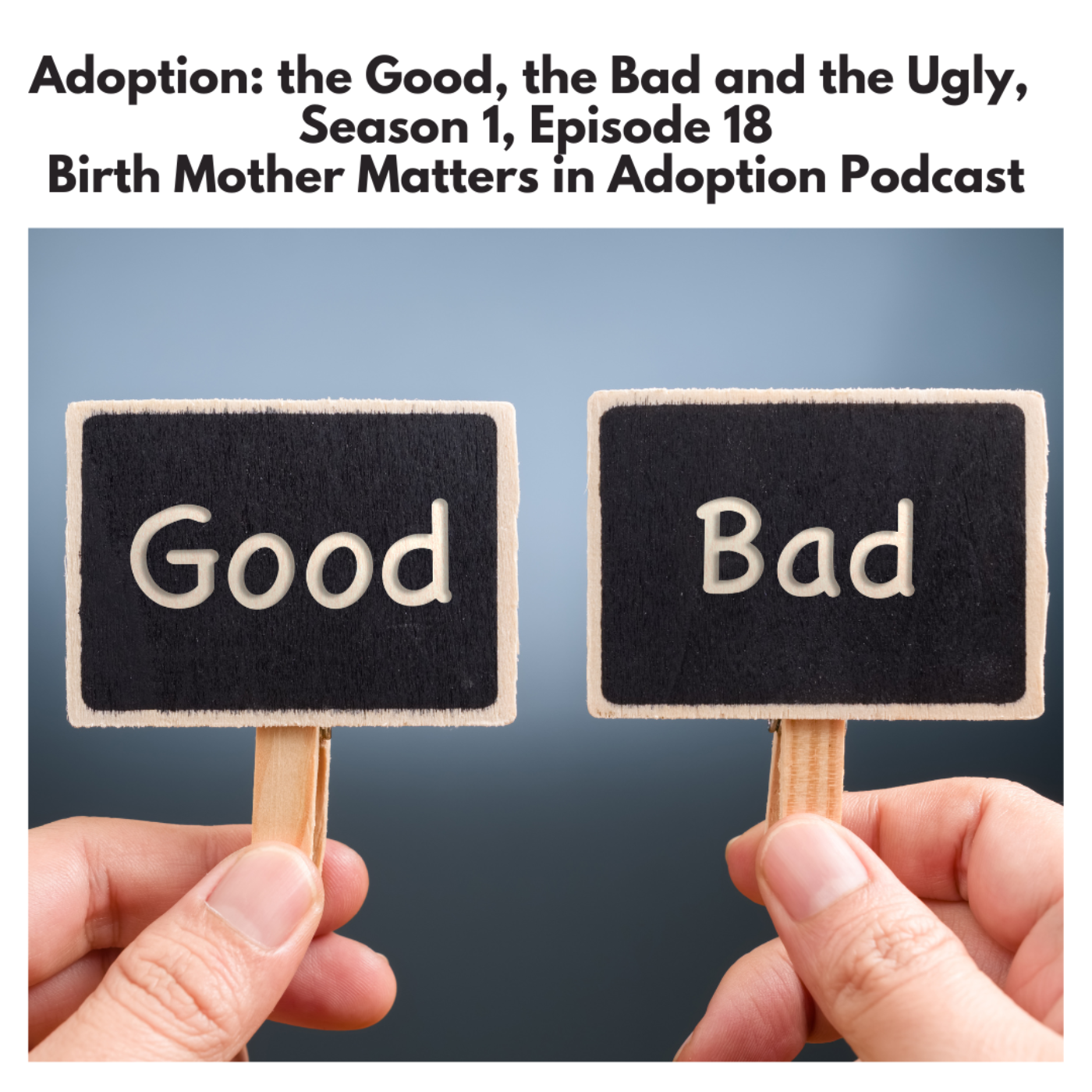 Birth Mother Matters in Adoption 18: Adoption: The Good, the Bad, and the Ugly episode artwork