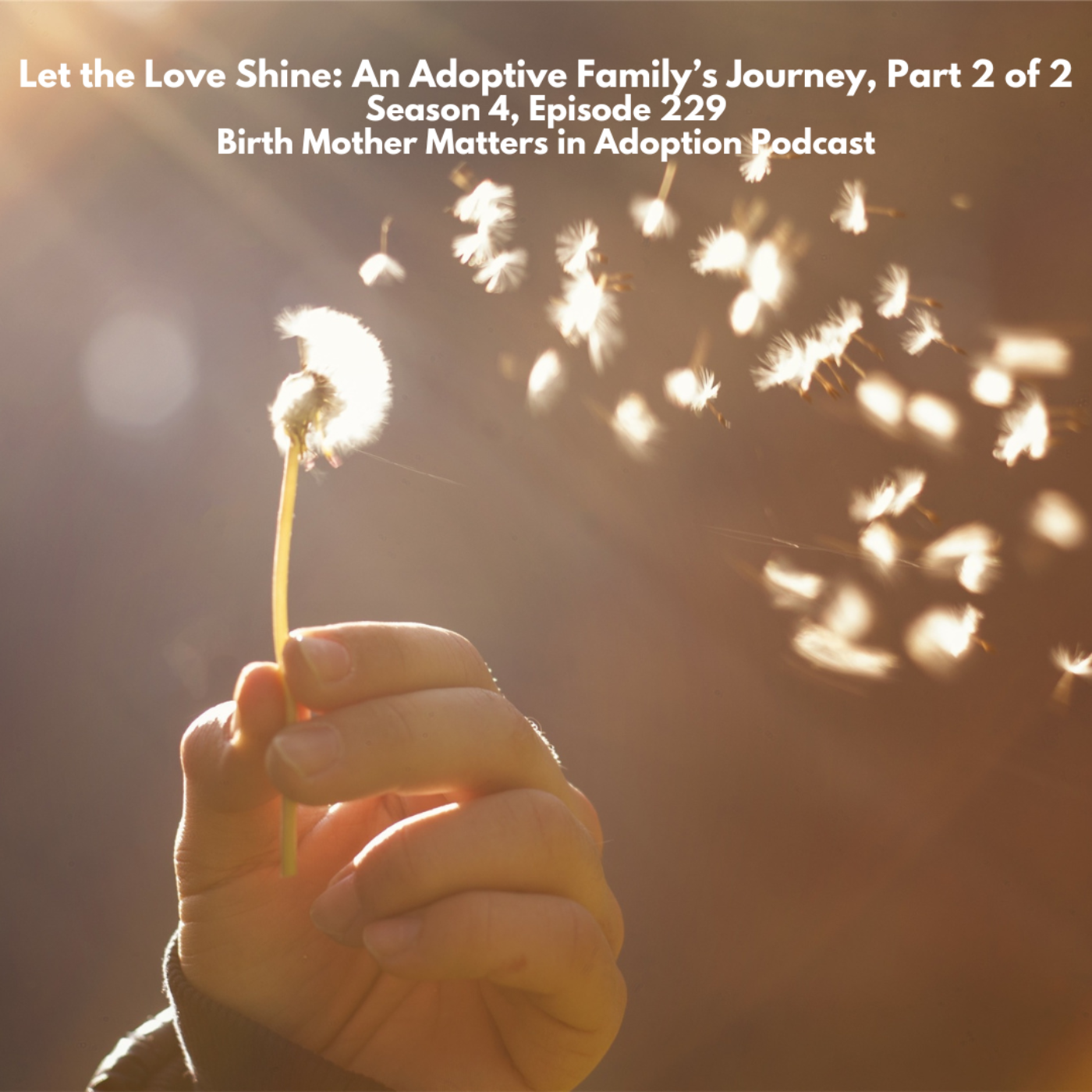 Birth Mother Matters in Adoption Podcast, Season 4: Episode 229: Let the Love Shine: An Adoptive Family's Journey Part 2  episode artwork