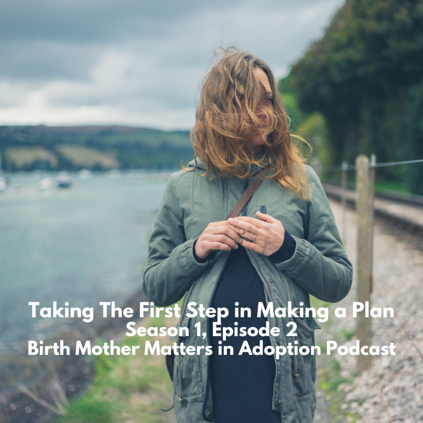 Birth Mother Matters in Adoption;2 -Taking the First Step in Making a Plan episode artwork