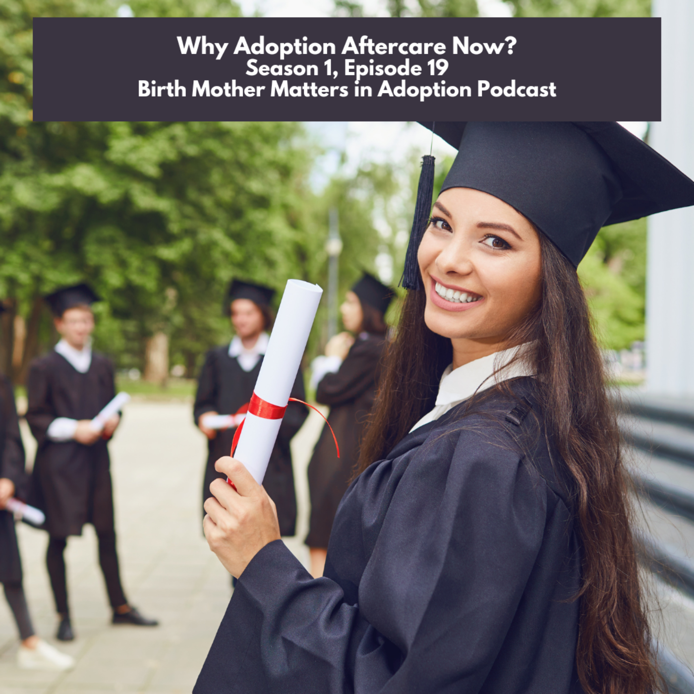 Birth Mother Matters in Adoption 19: Why Adoption Aftercare Now? episode artwork