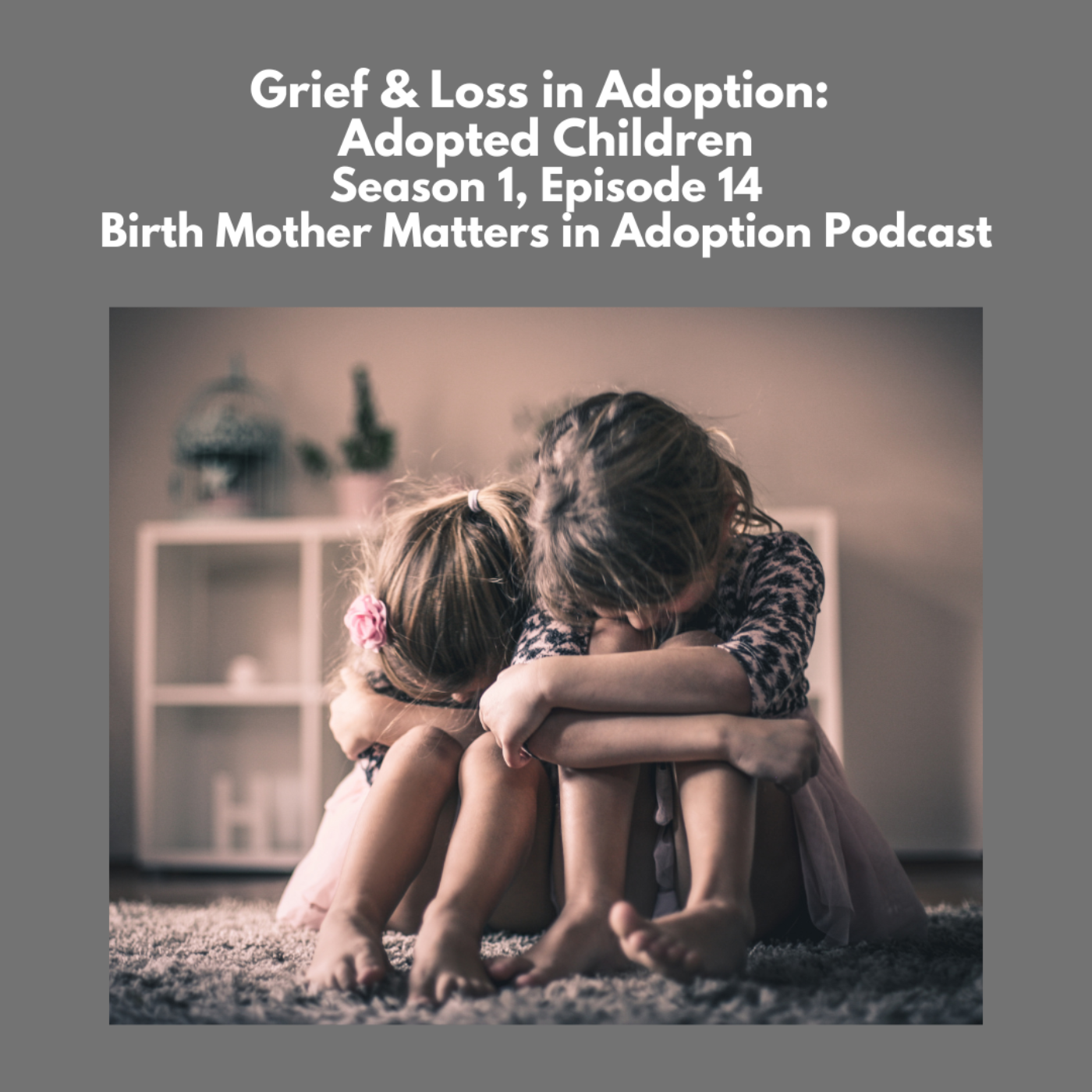 Birth Mother Matters in Adoption 14: Grief & Loss in Adoption: Adopted Children episode artwork