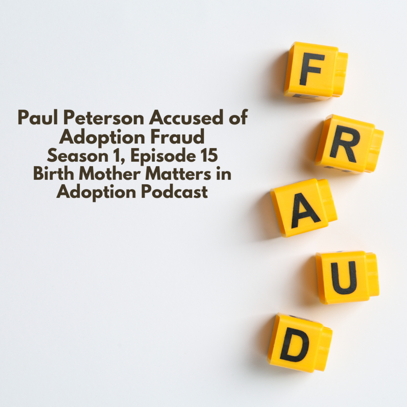 Birth Mother Matters in Adoption 15: Paul Petersen Accused of Adoption Fraud episode artwork