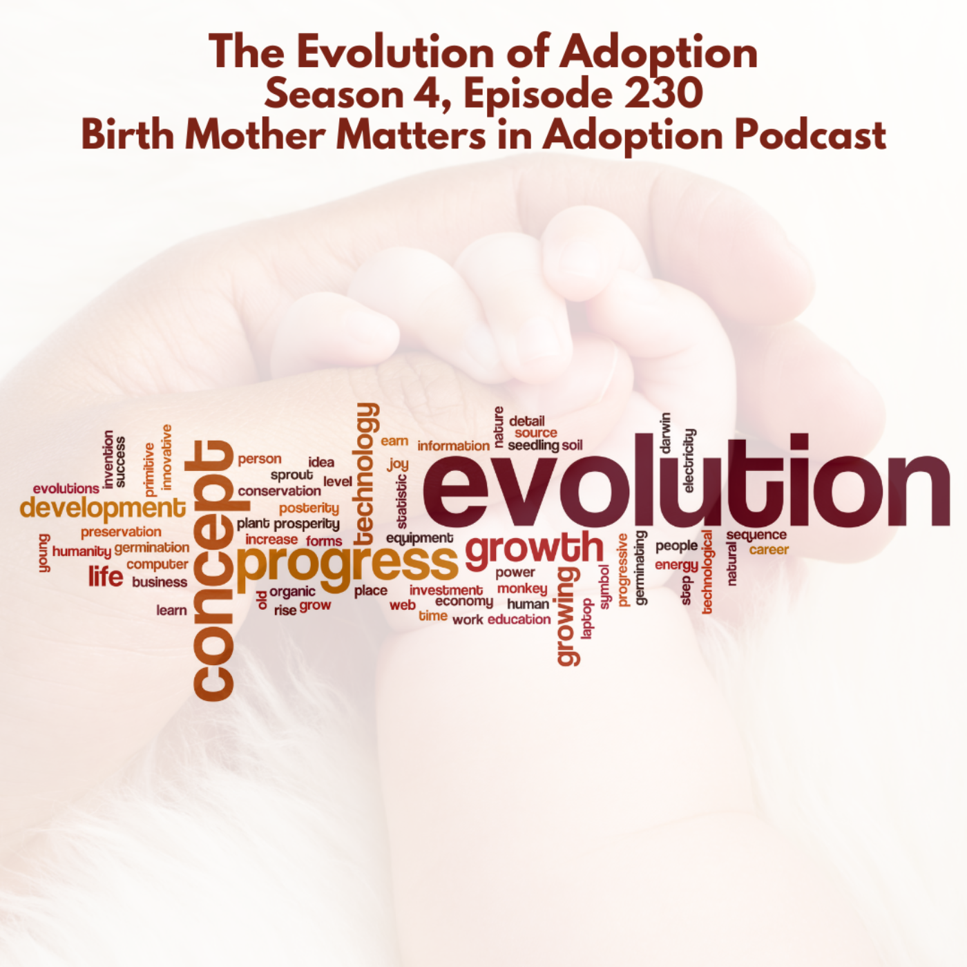 Birth Mother Matters in Adoption Season 4, Episode 230: The Evolution of Adoption episode artwork