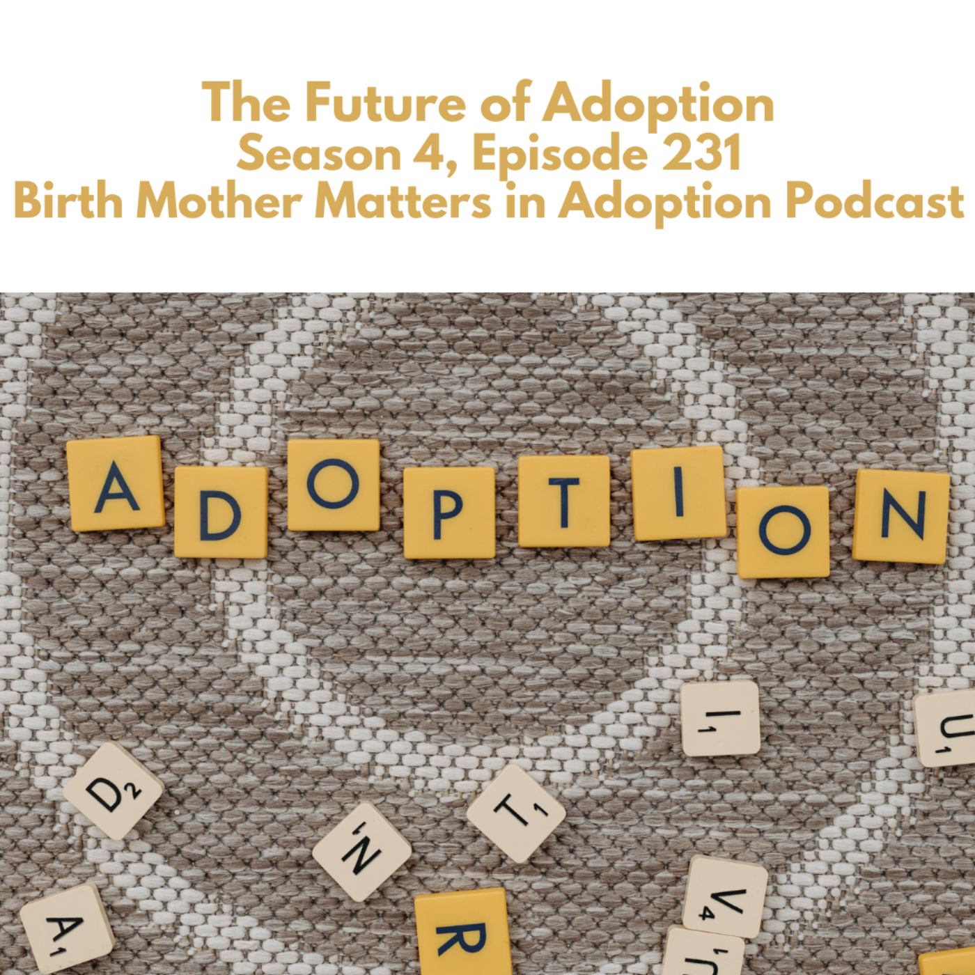 Birth Mother Matters in Adoption Season 4, Episode 231: The Future of Adoption episode artwork