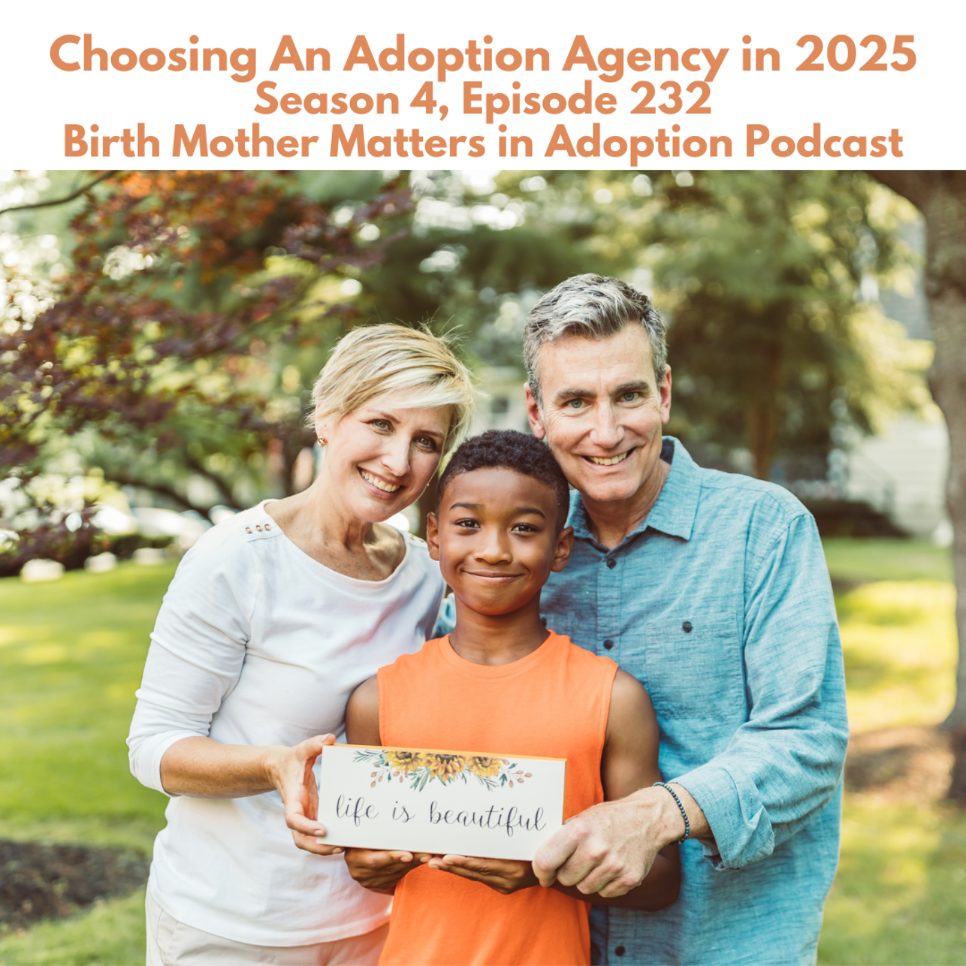 Birth Mother Matters in Adoption Season 4, Episode 232: Choosing An Adoption Agency in 2025 episode artwork