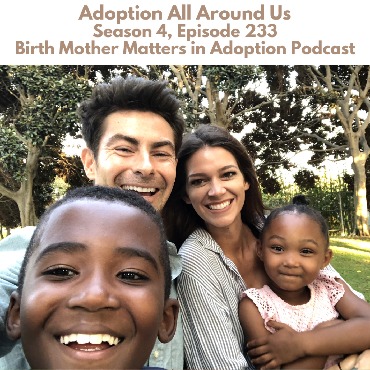 Birth Mother Matters in Adoption Season 4, Episode 233: Adoption All Around Us episode artwork
