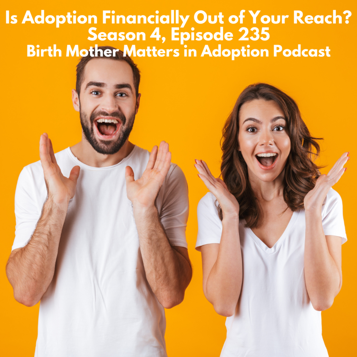 Birth Mother Matters in Adoption Season 4, Episode 235: Is Adoption Financially Out of Our Reach? episode artwork
