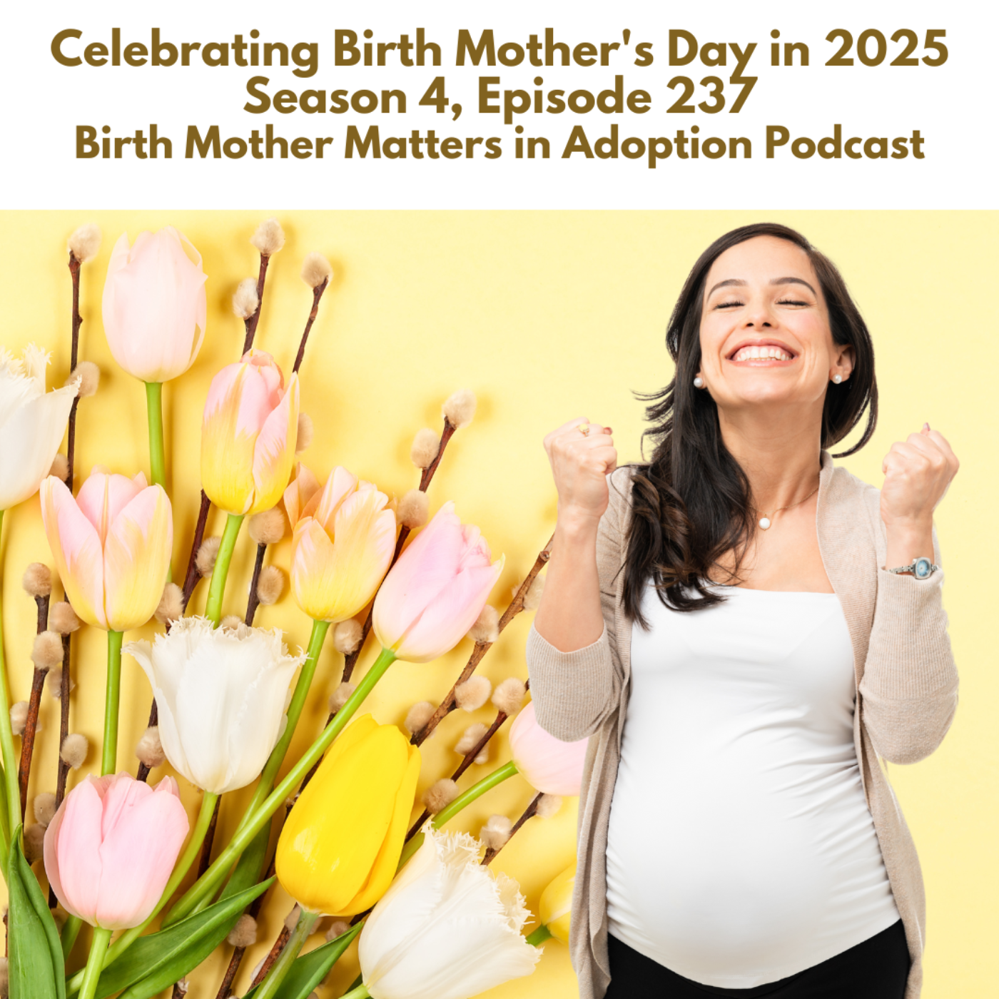 Birth Mother Matters in Adoption Season 4, Episode 237: Celebrating Birth Mother's Day in 2025 episode artwork