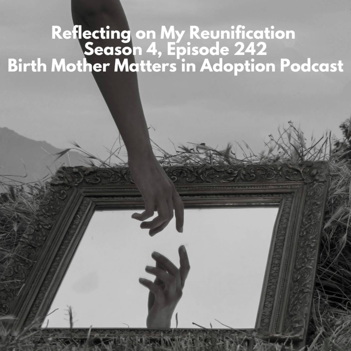 Birth Mother Matters in Adoption