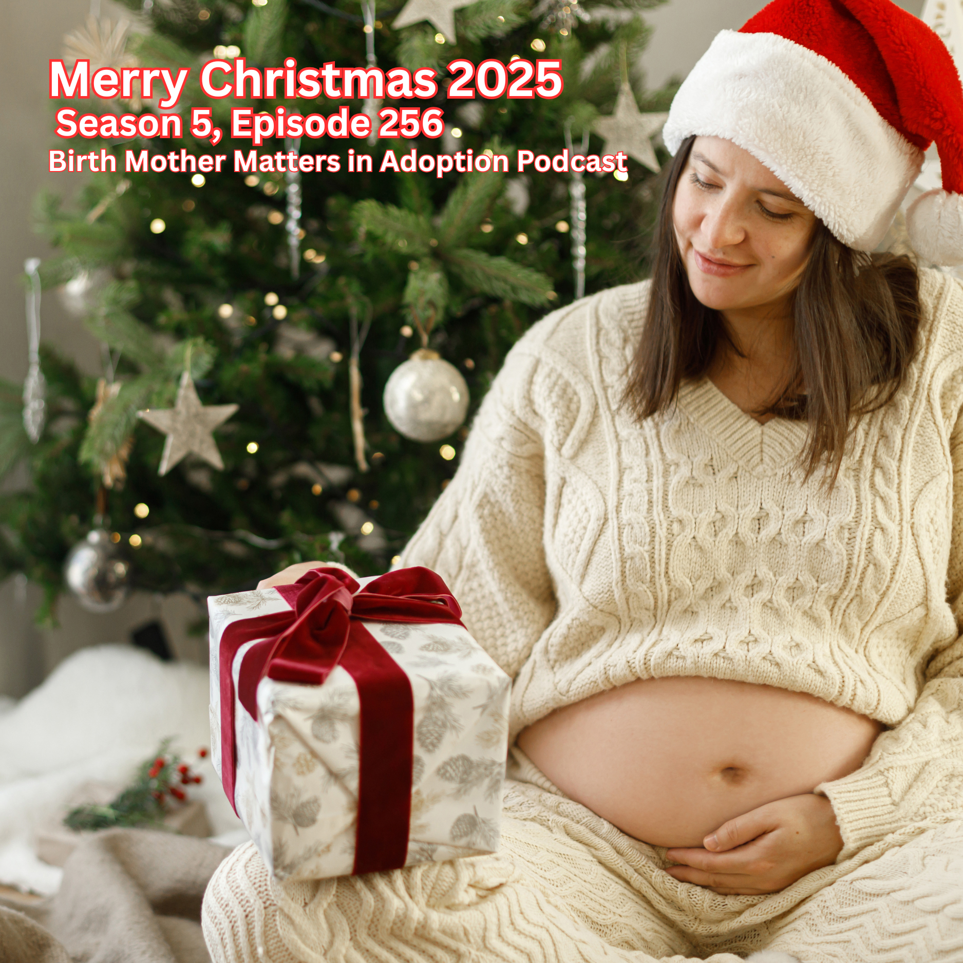 Birth Mother Matters in Adoption Season 5, Episode 256: Merry Christmas 2025 episode artwork