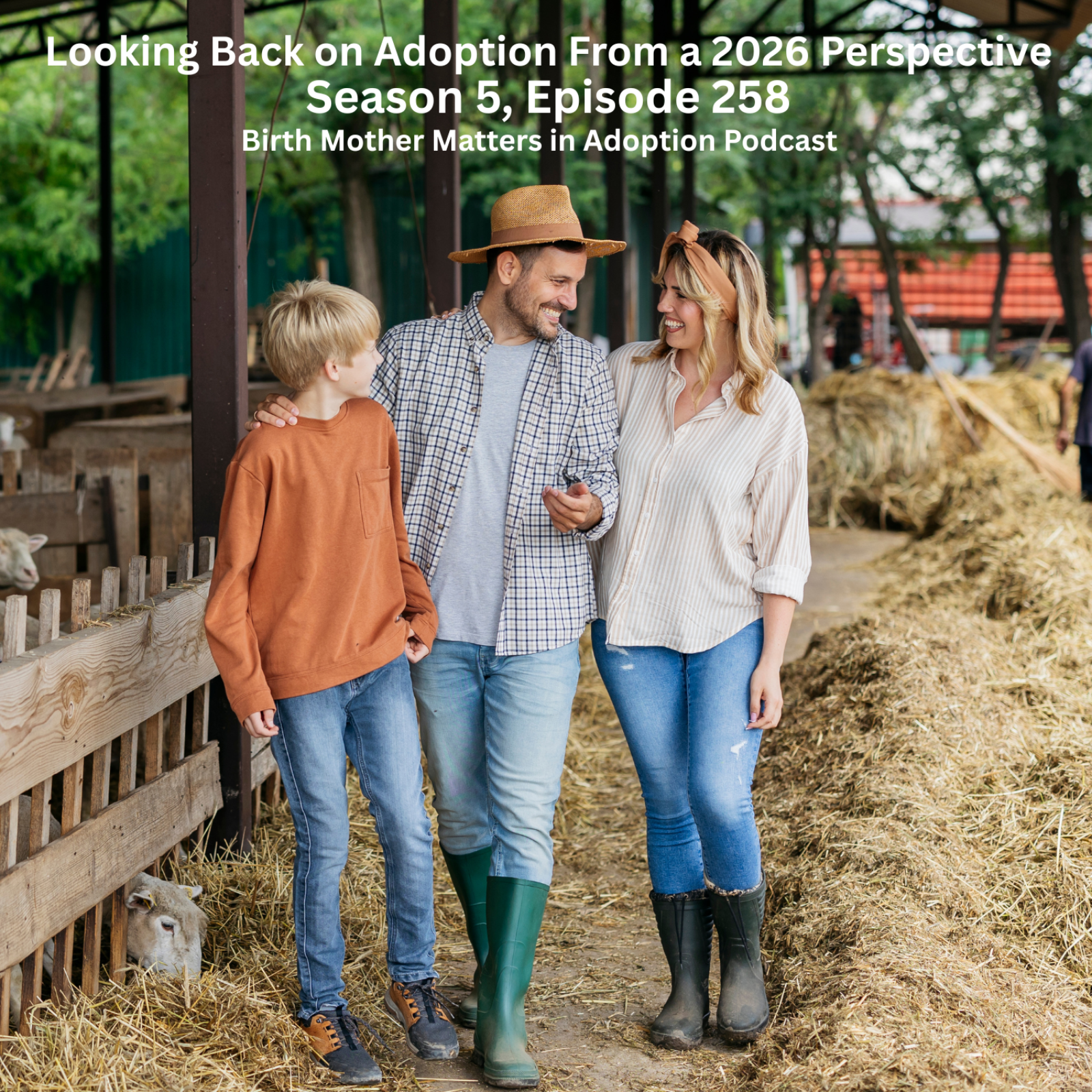 Birth Mother Matters in Adoption Season 5, Episode 258: Looking Back on Adoption From a 2026 Perspective episode artwork