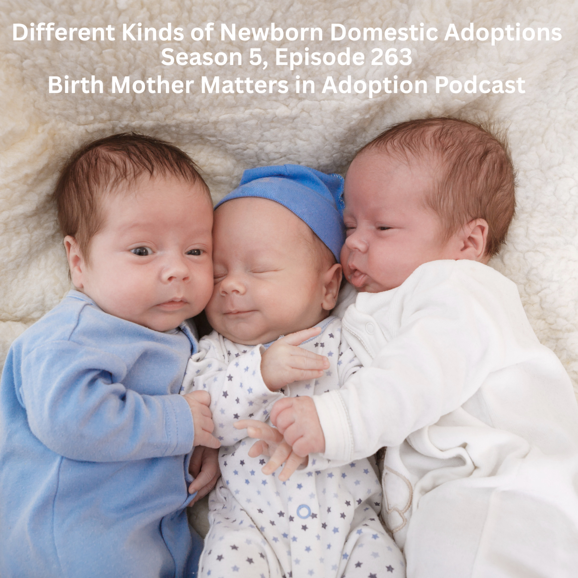 Birth Mother Matters in Adoption Season 5, Episode 263: Different Types of Newborn Adoptions
