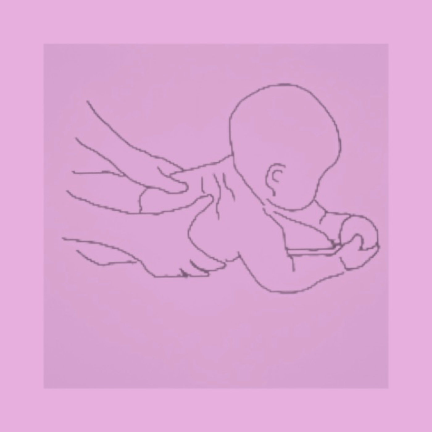 Birth, Babies, & Busy Moms