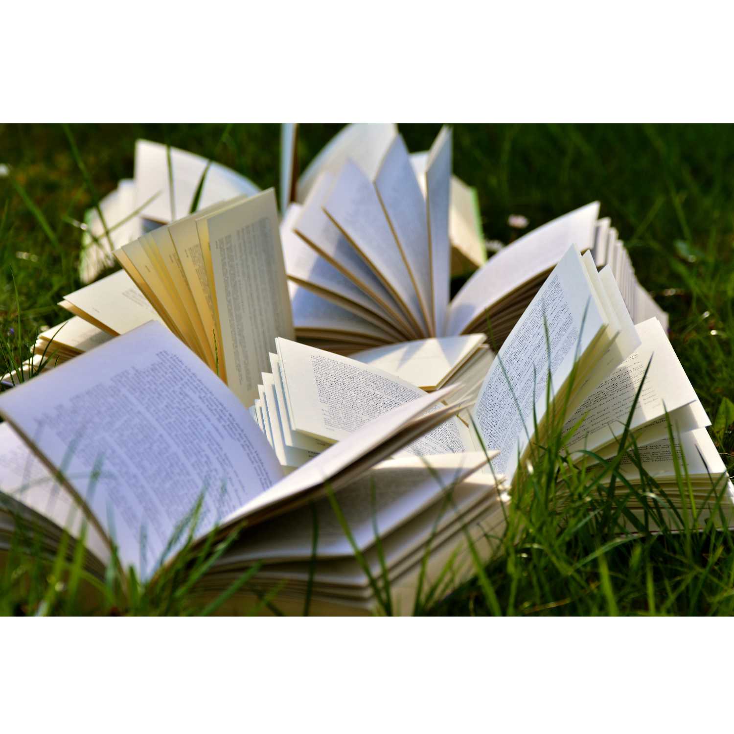 Birth Your Book