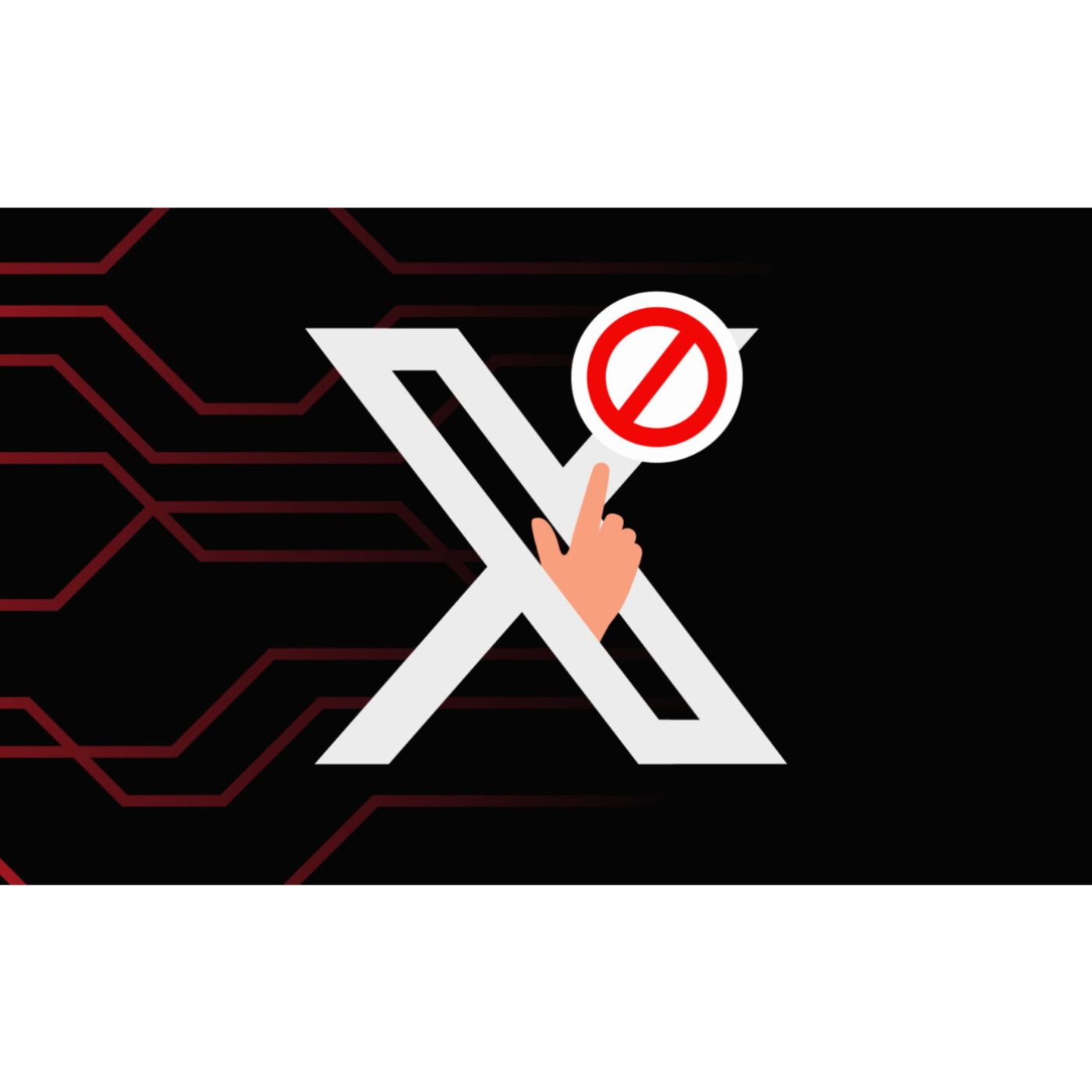 Crypto founder threatens to sue Elon Musk over X account suspension