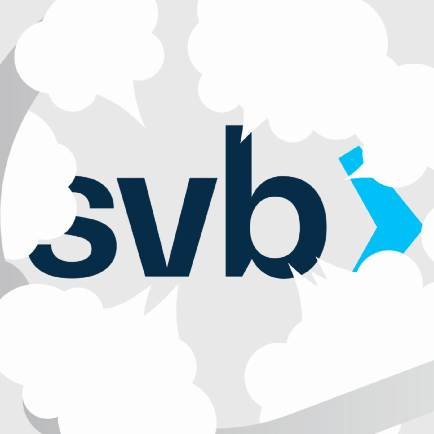 Venture capitalists, not Operation Chokepoint 2.0, blamed for SVB crash