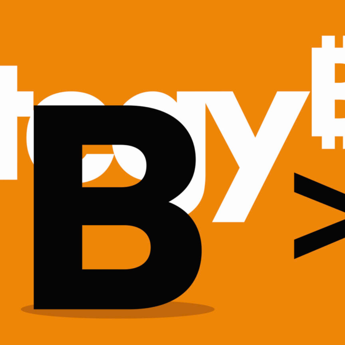 BlackRock and MicroStrategy hold more BTC than Satoshi