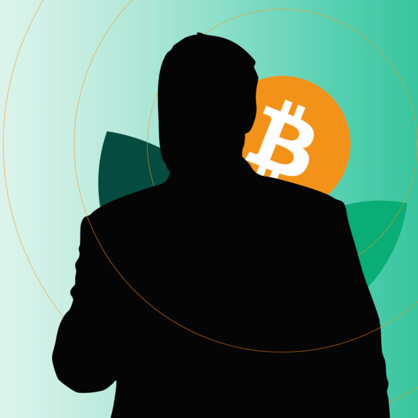 David Bailey explains why Nakamoto would sell bitcoin