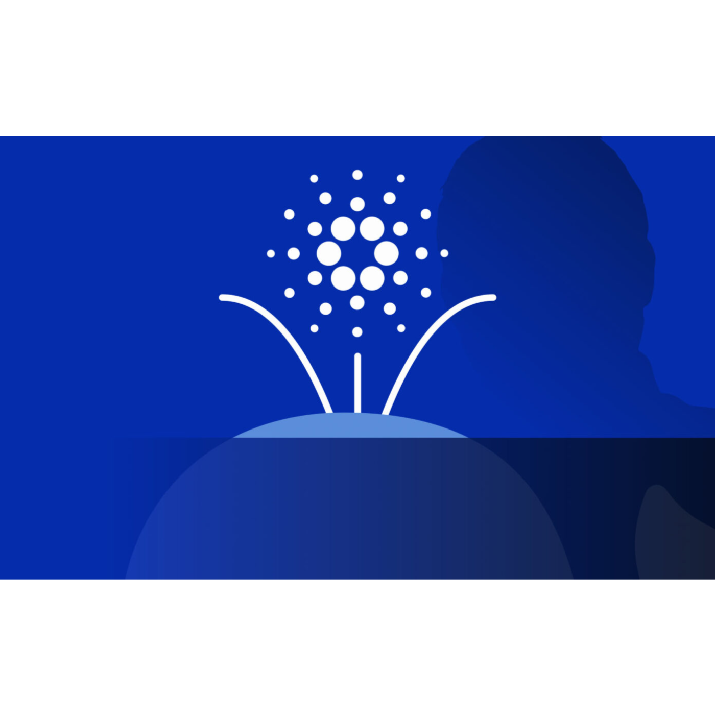 Cardano whale slams Charles Hoskinson, calls for voting revolt