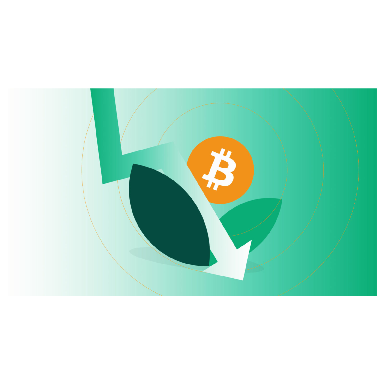 Bitcoin treasury firm NAKA’s shares and mNAV crashed 90%