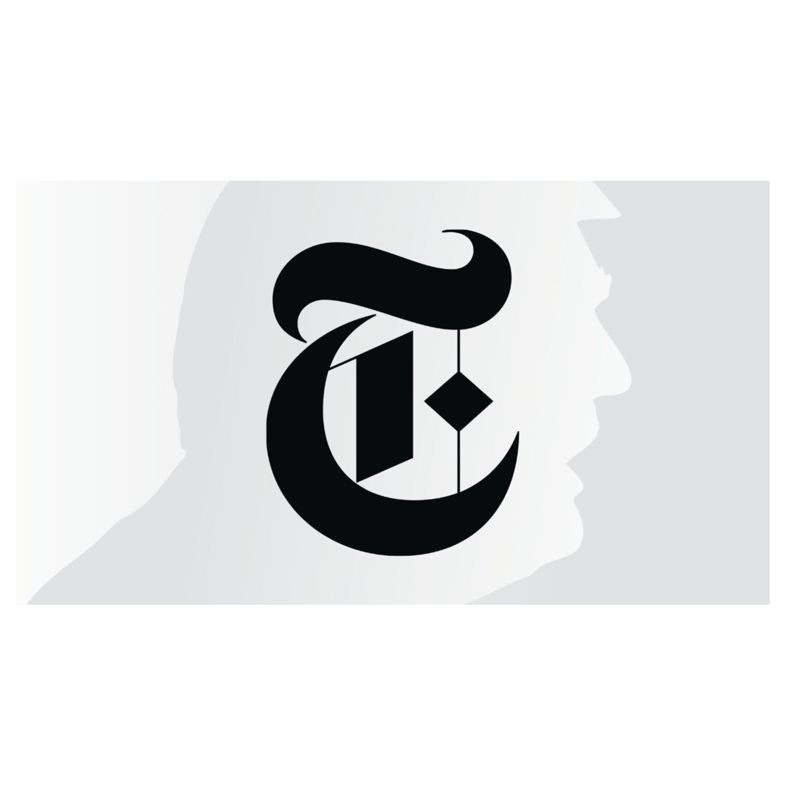 Donald Trump is suing the New York Times for harming his memecoin