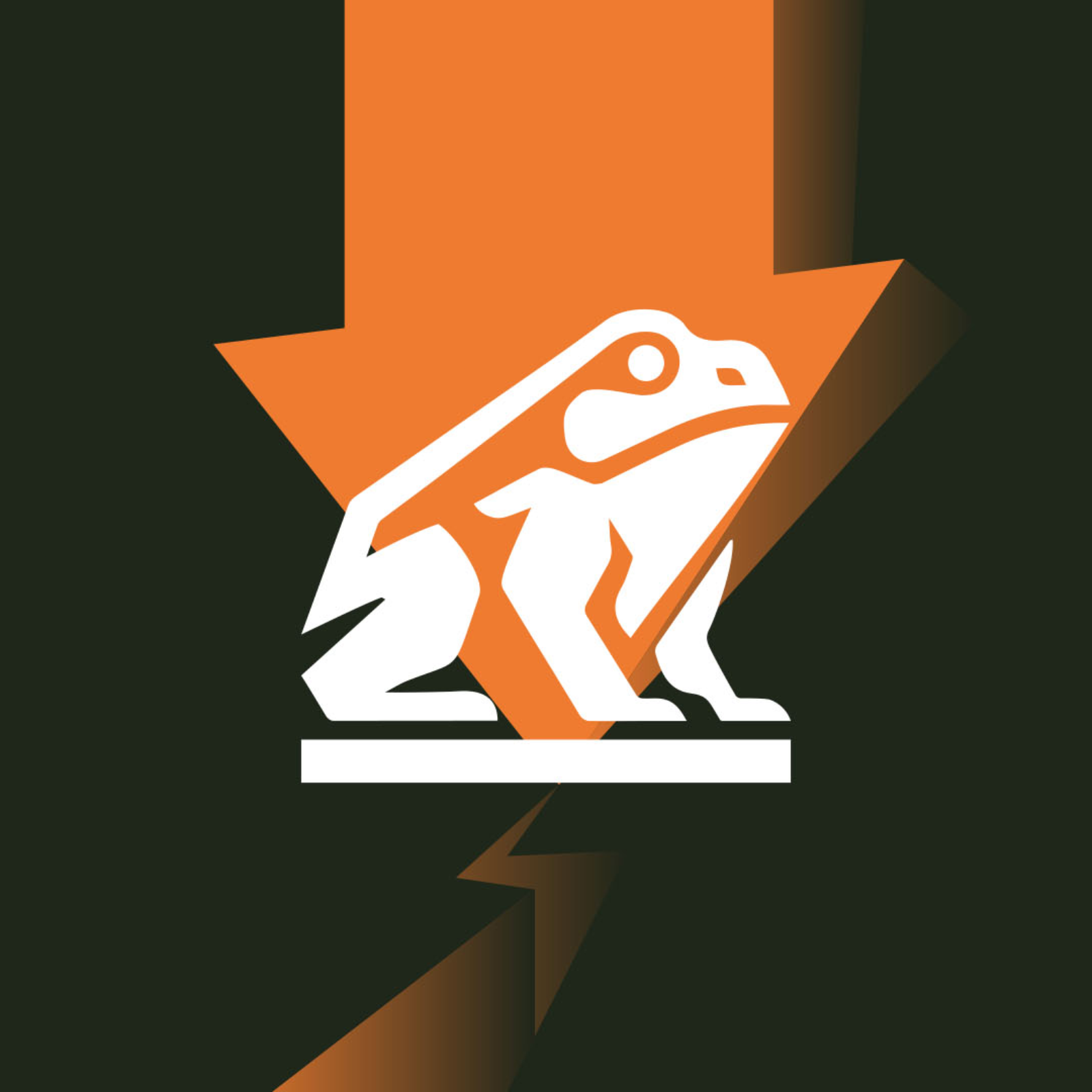 The spectacular collapse of David Bailey’s Nakamoto