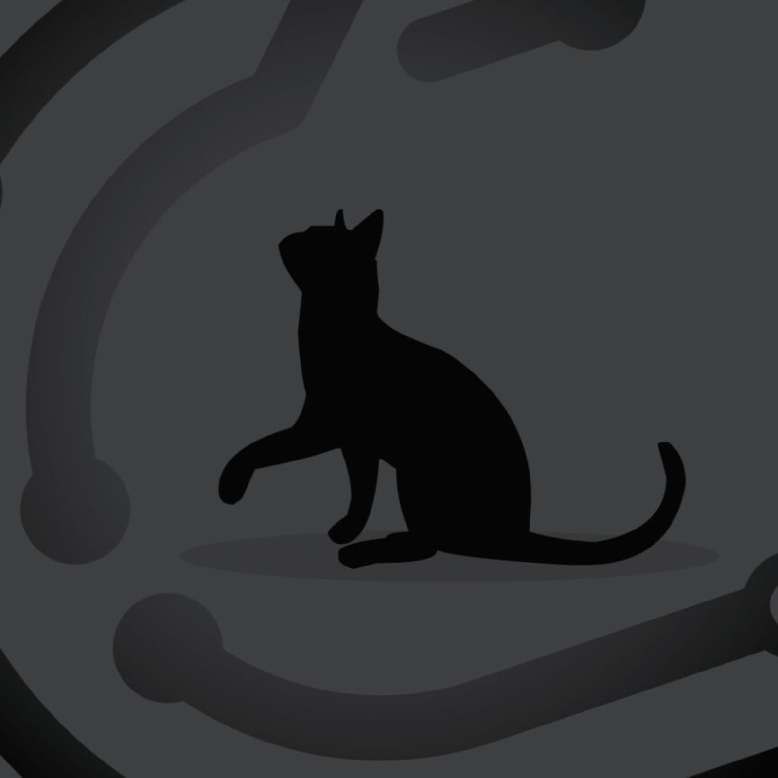 ‘Kill a Waymo, Save a Cat’: Internet mourns as crypto launches KitKat coins