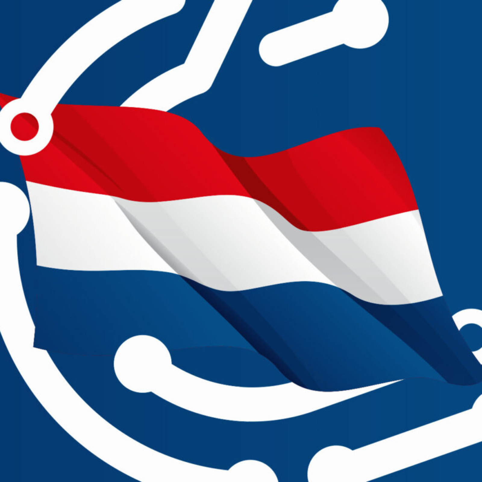 Dutch nominee to oversee crypto tax quits over CV scandal