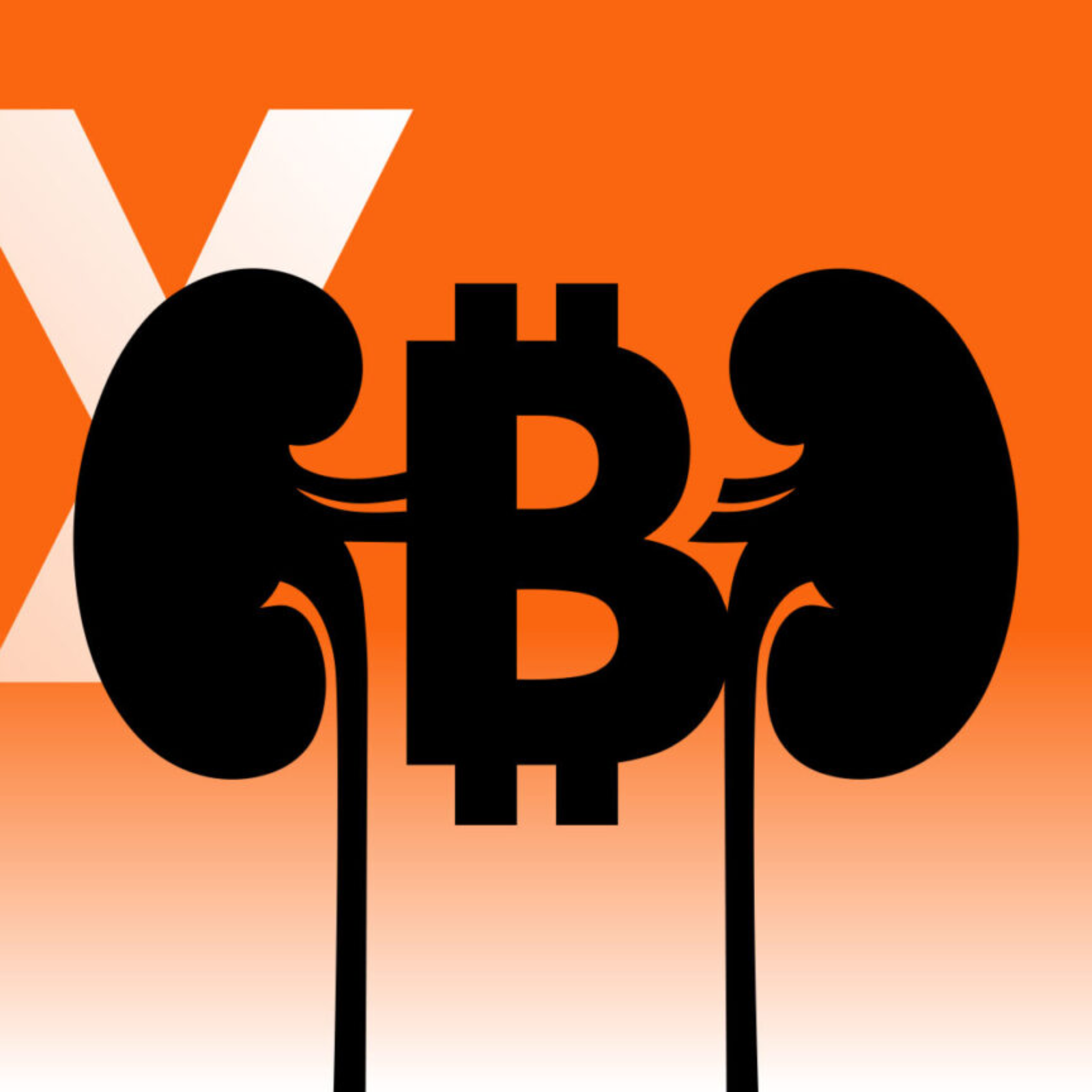 Michael Saylor went from ‘sell a kidney’ to $20 billion loss at Strategy