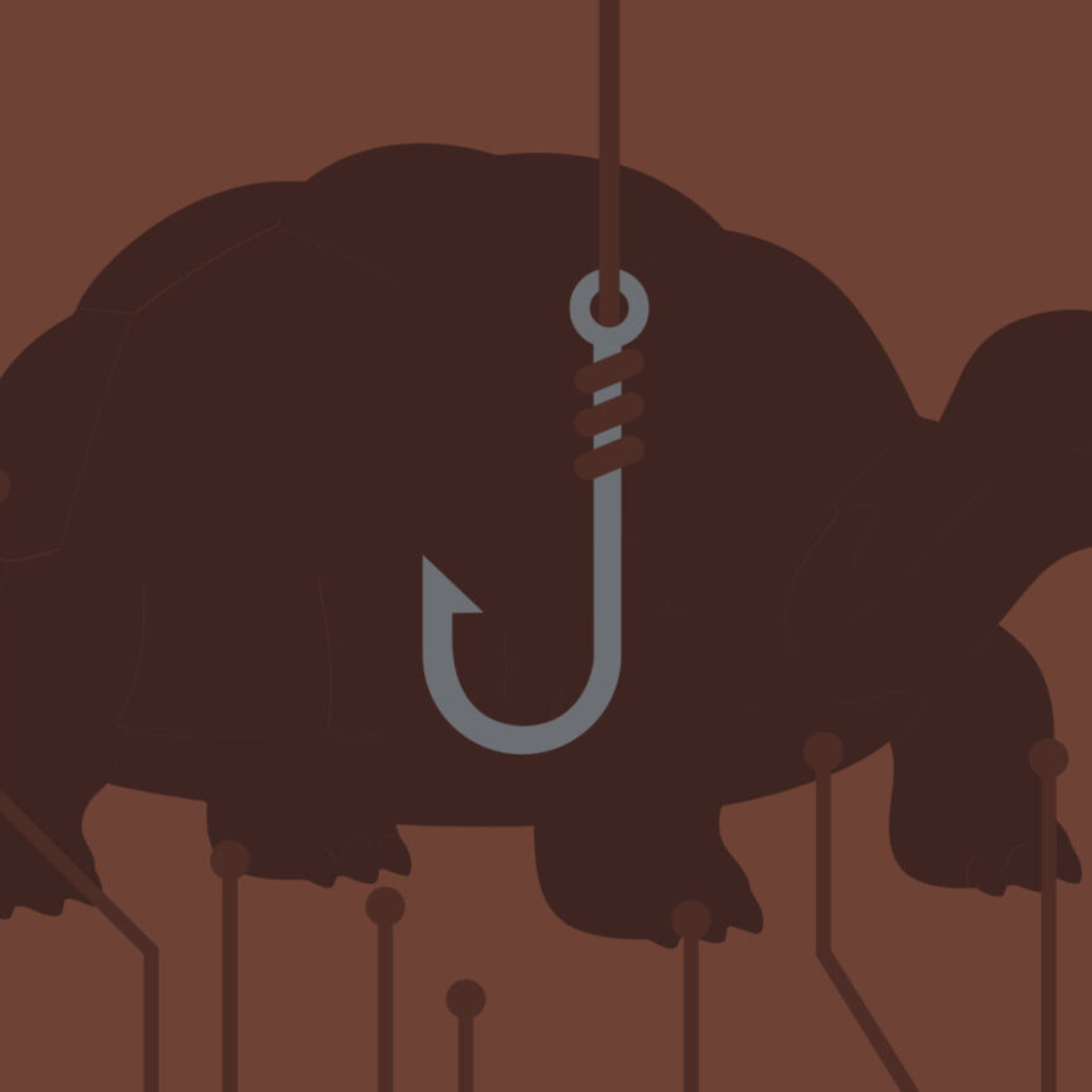 Death of the oldest living tortoise was just a crypto scam