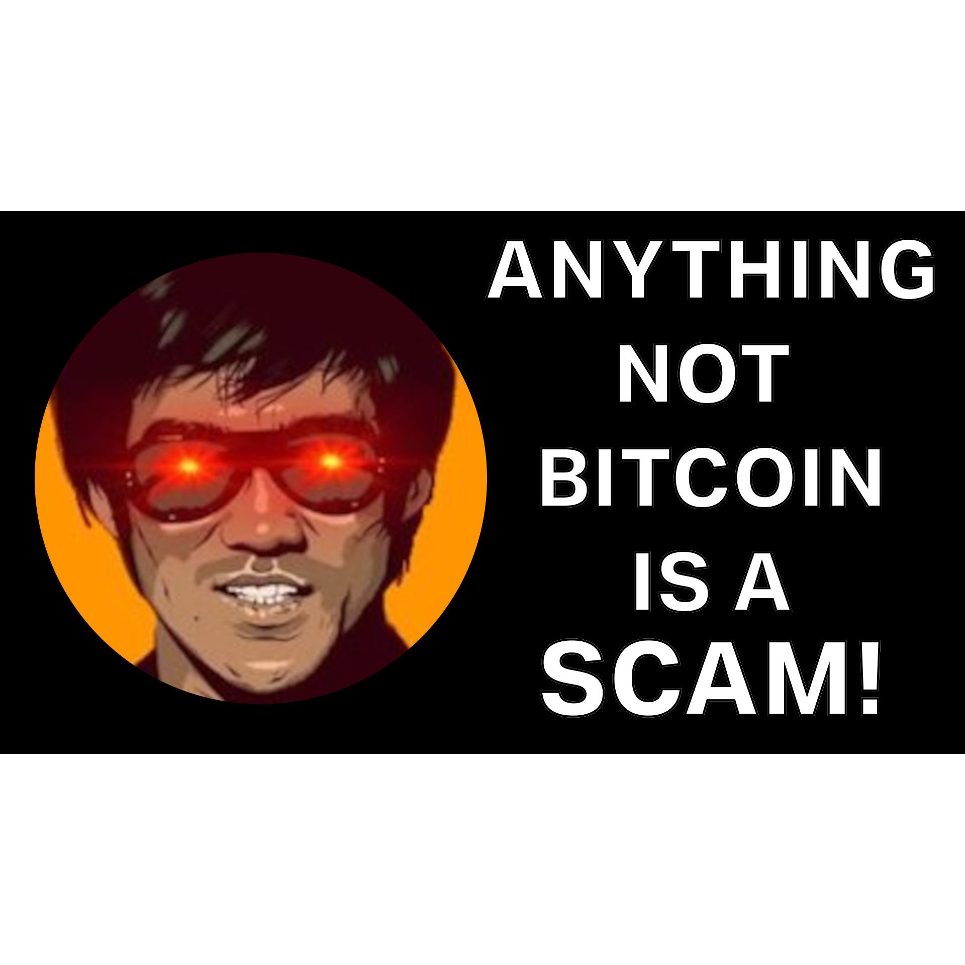 Anything Not Bitcoin Is A Scam! with The Bitcoin Libertarian