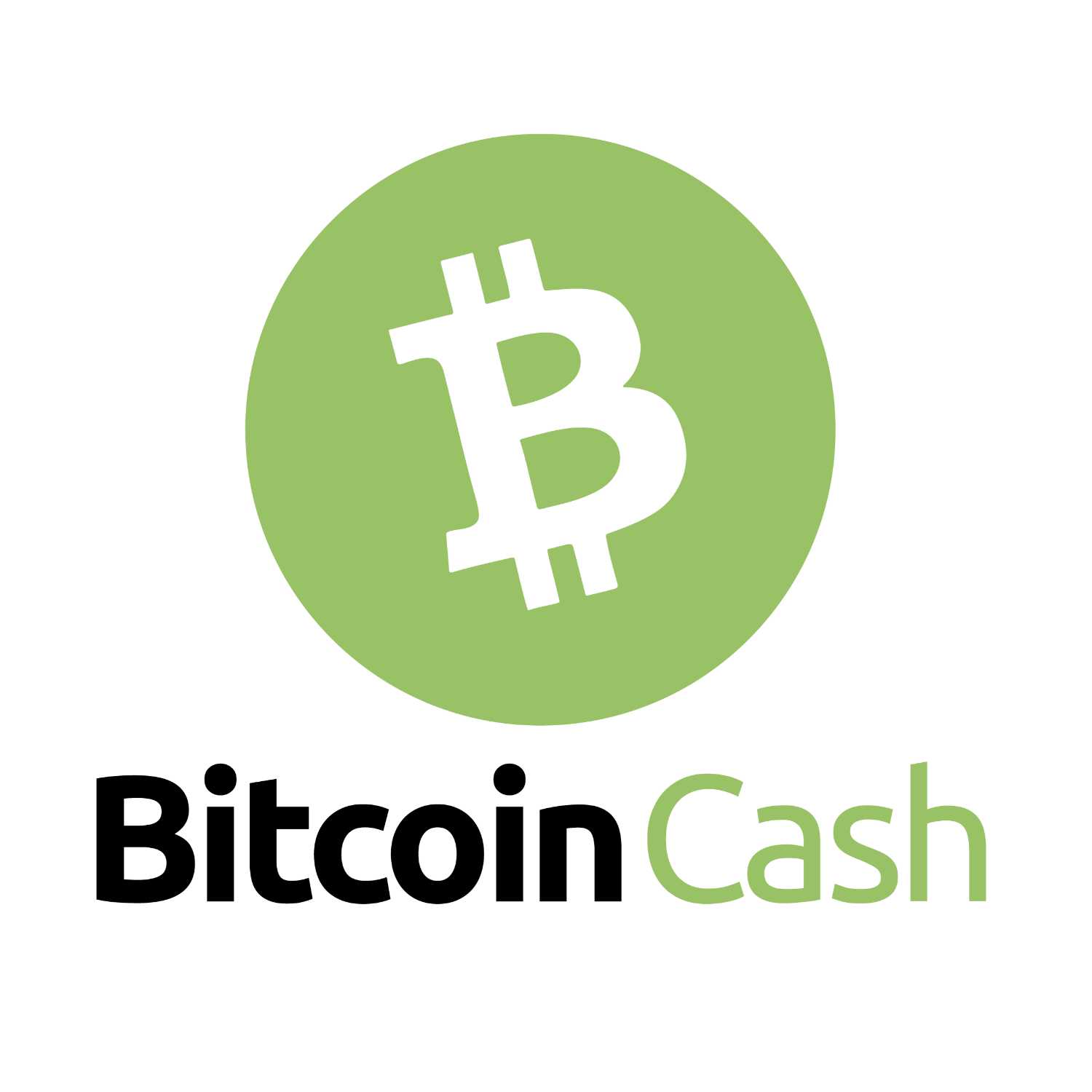 #16: BCH around the world & Cryptocurrency Communities