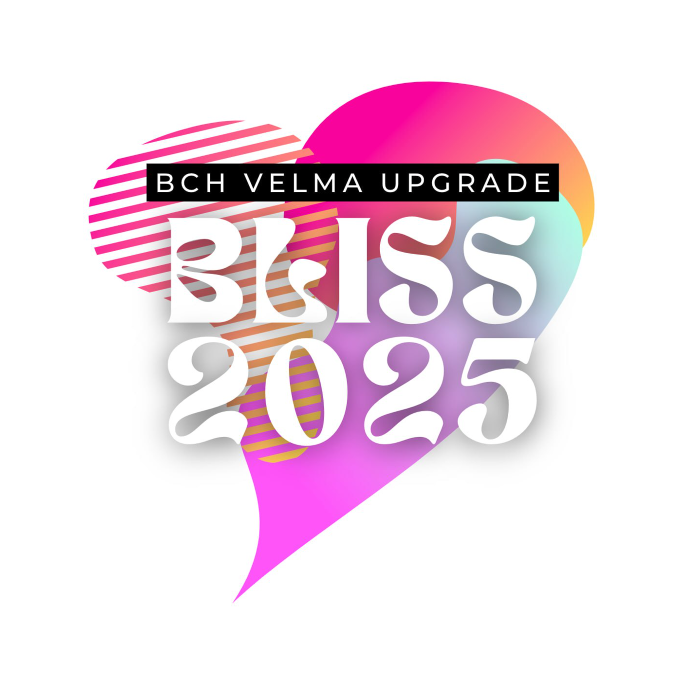 BLISS 2025: BSomeone - Kyle Wildeman