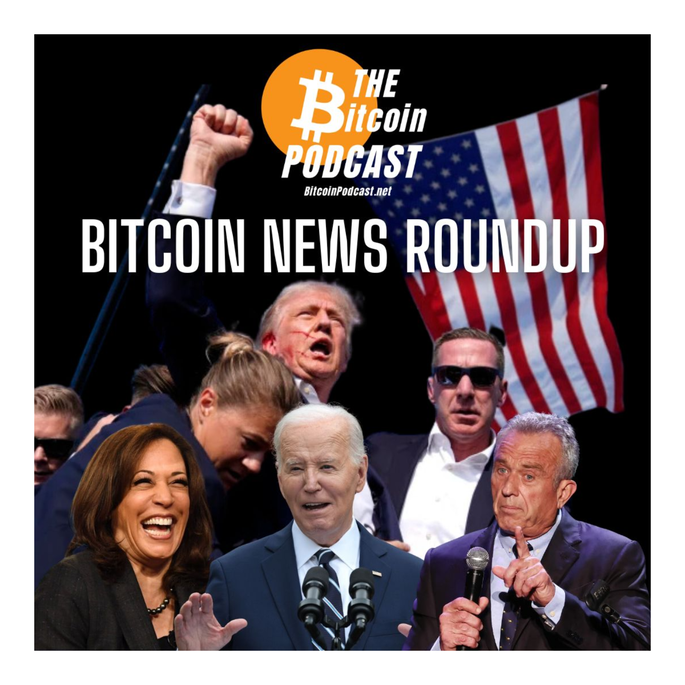 BITCOIN ON THE BALLOT (BITCOIN NEWS ROUNDUP)